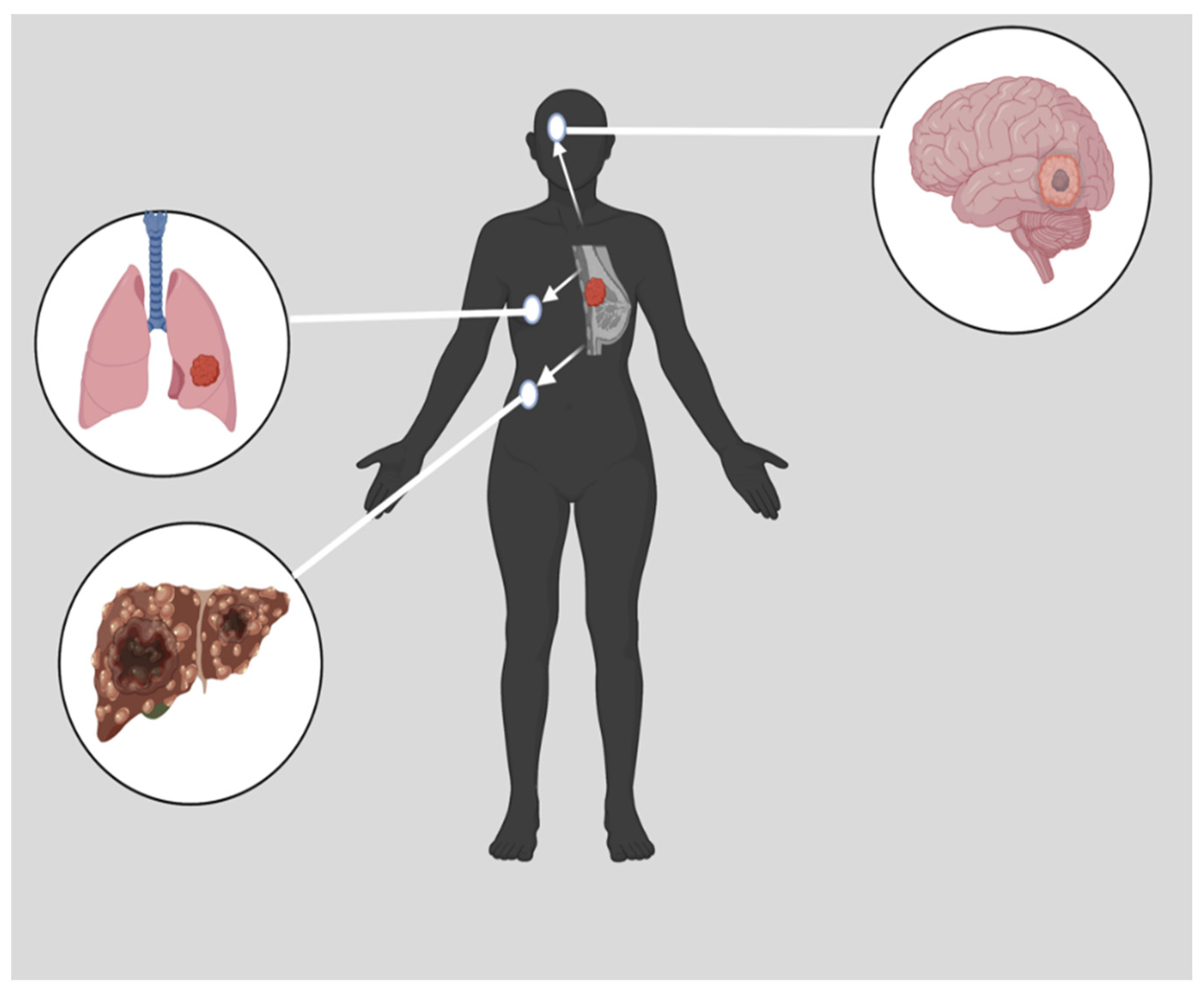 Pharmaceutics 15 01796 g001