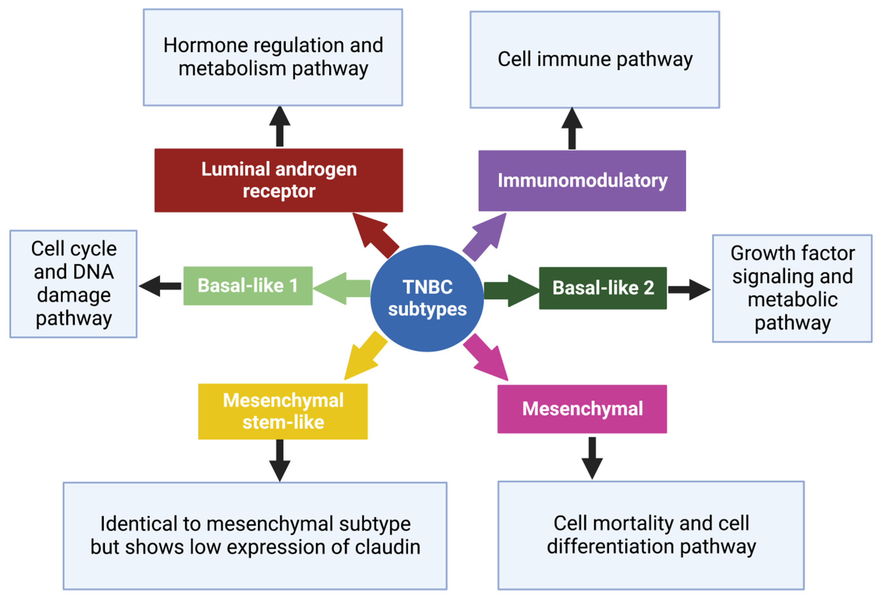 Pharmaceutics 15 01796 g002