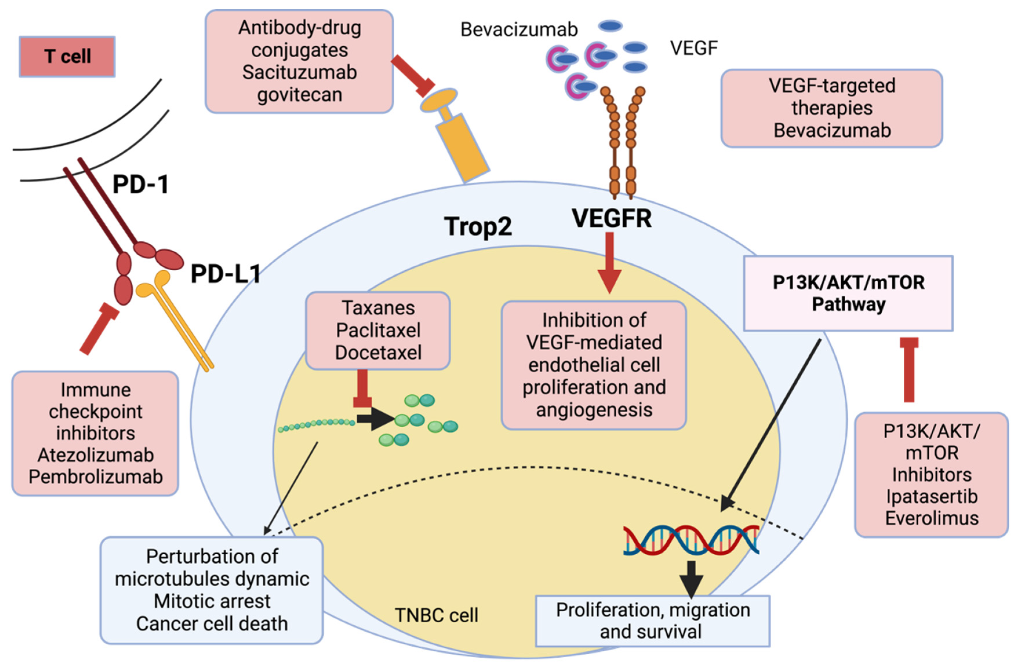 Pharmaceutics 15 01796 g003