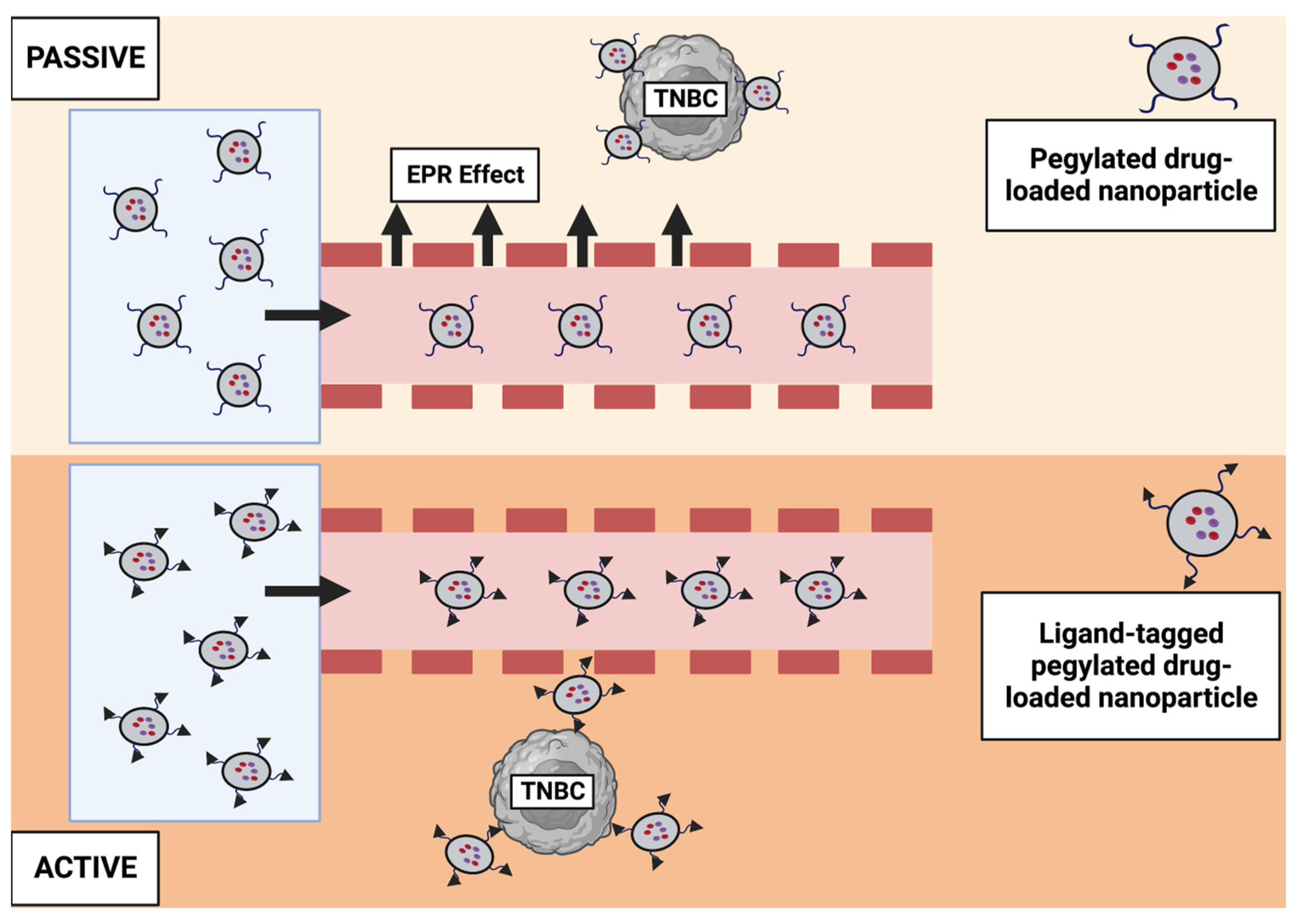 Pharmaceutics 15 01796 g004