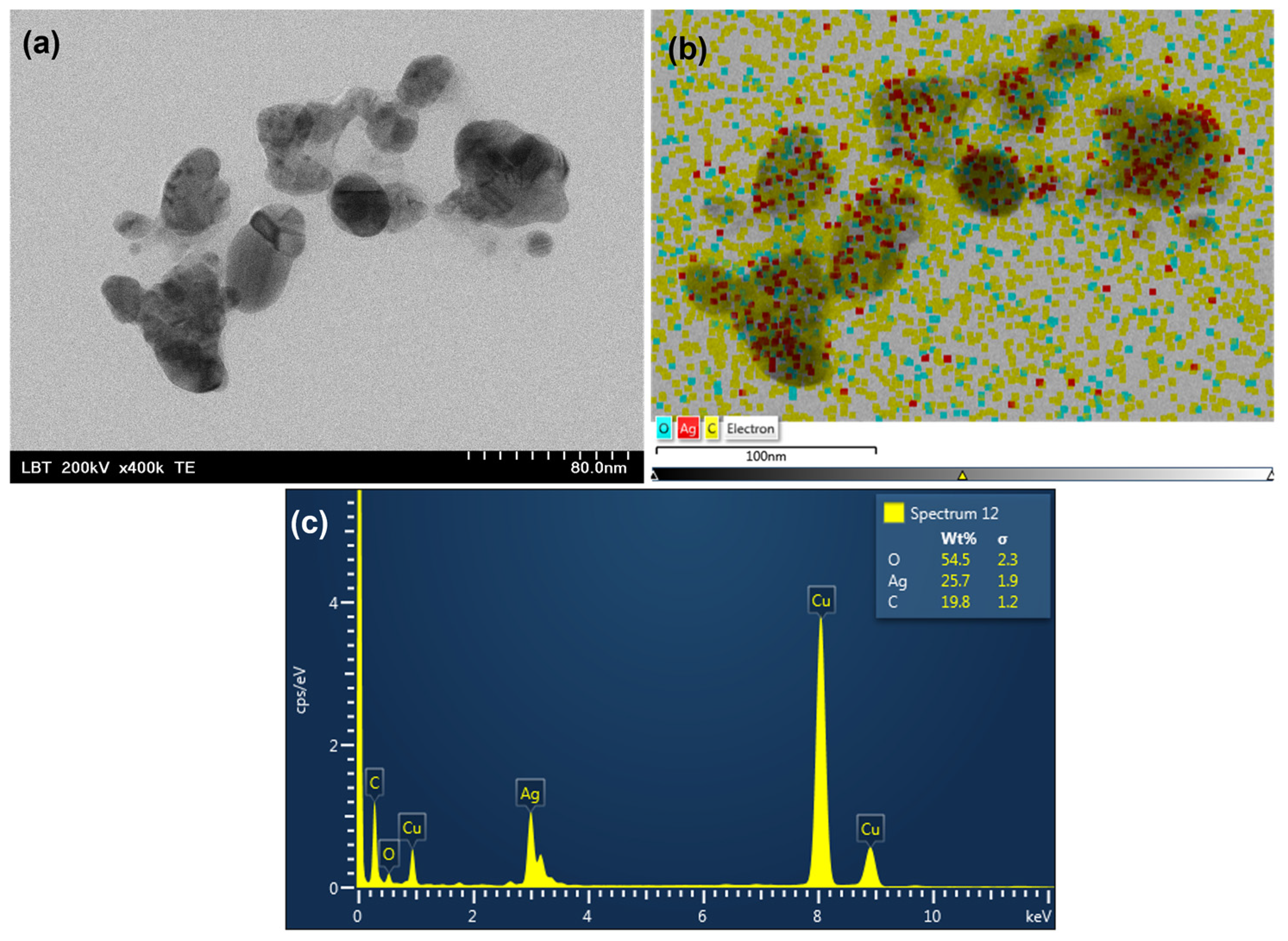 Pharmaceutics 15 01797 g002