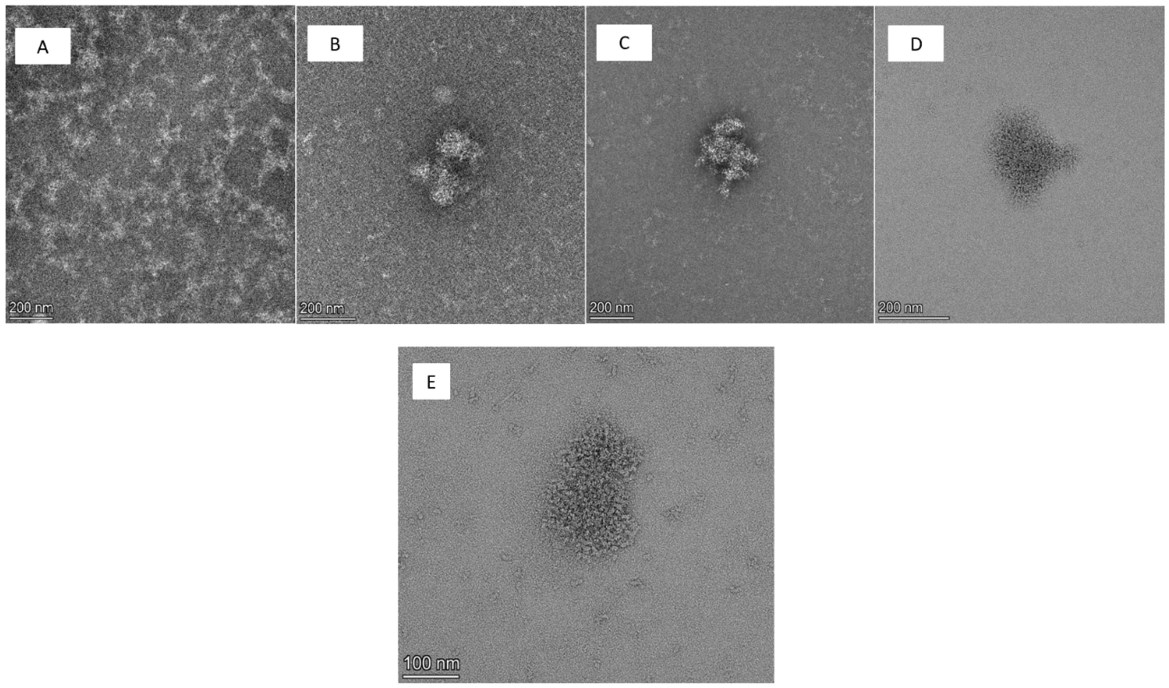 Pharmaceutics 15 01803 g001