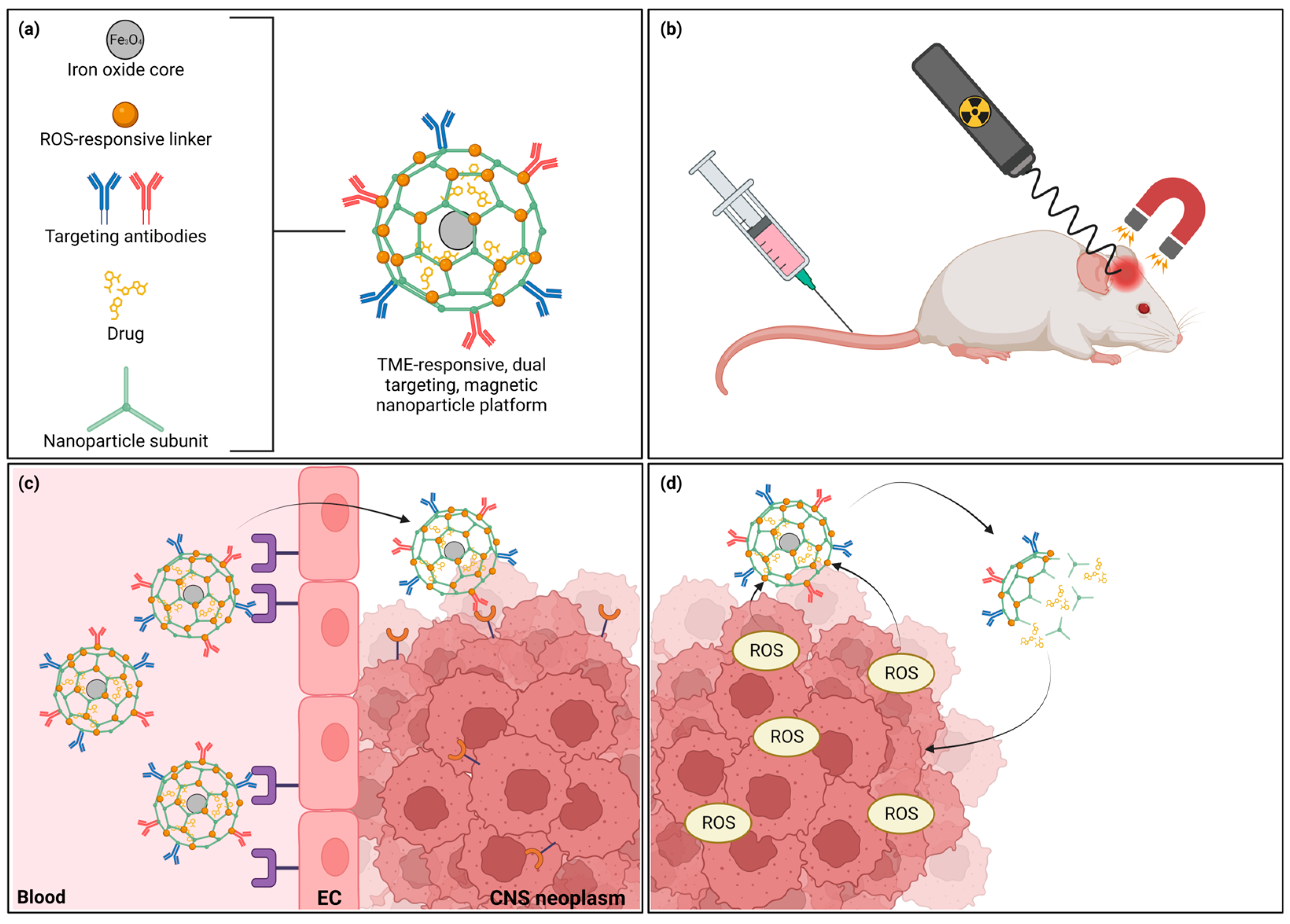 Pharmaceutics 15 01804 g004