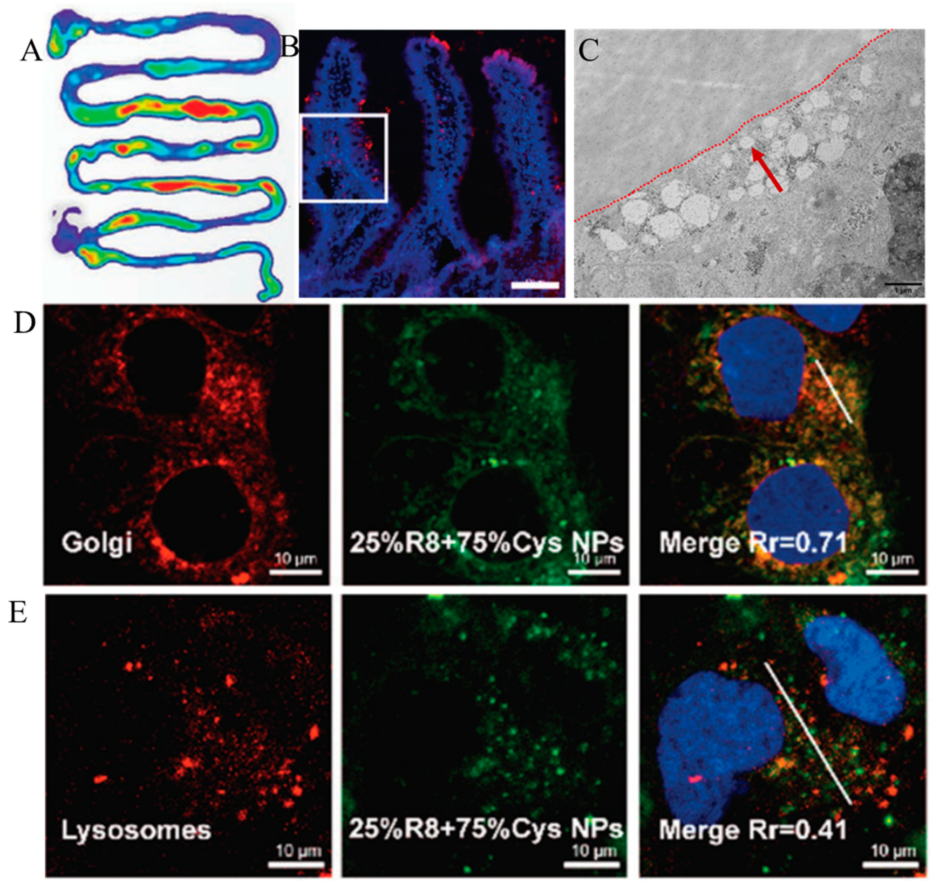 Pharmaceutics 15 01816 g001