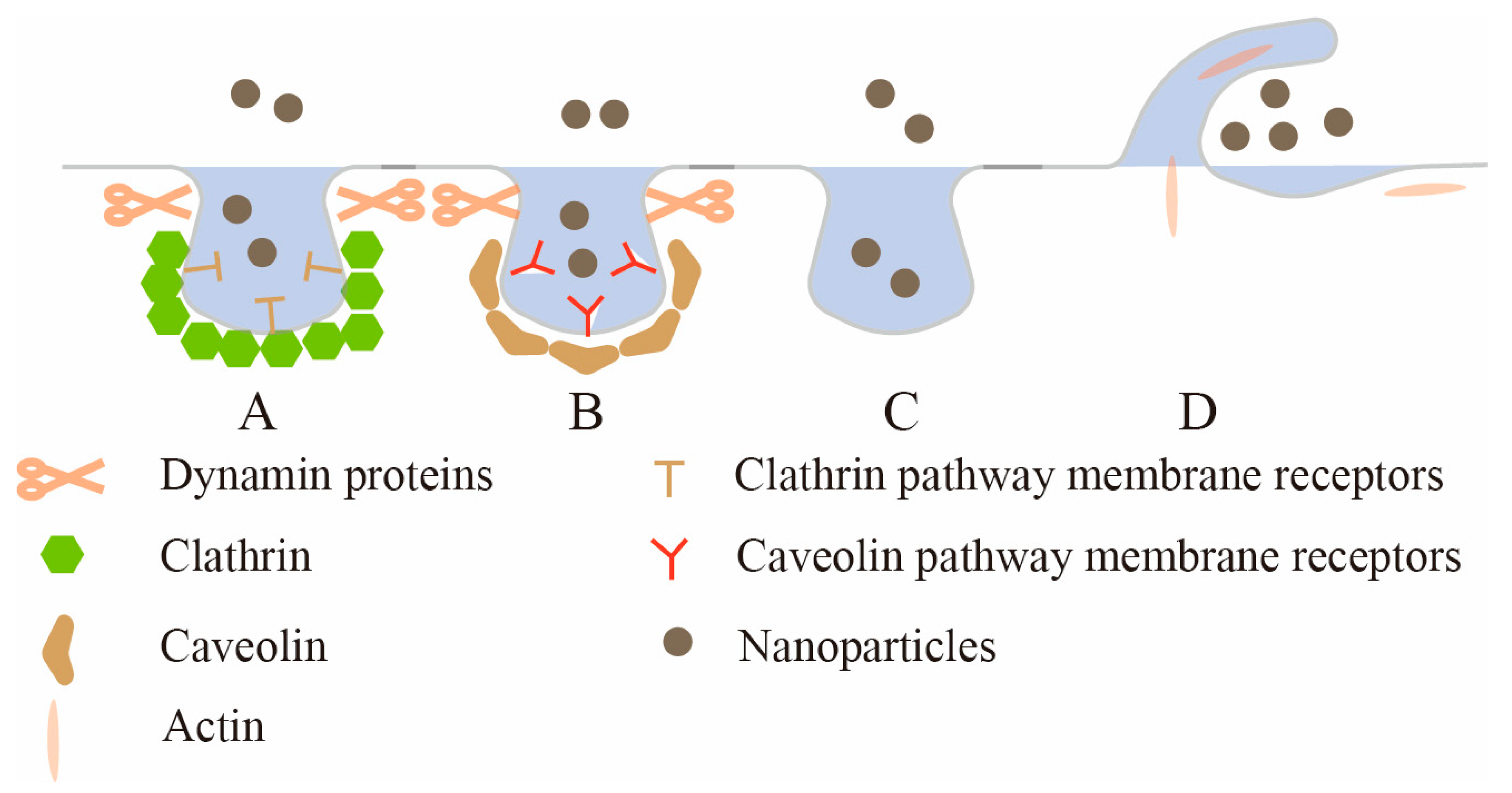 Pharmaceutics 15 01816 g003