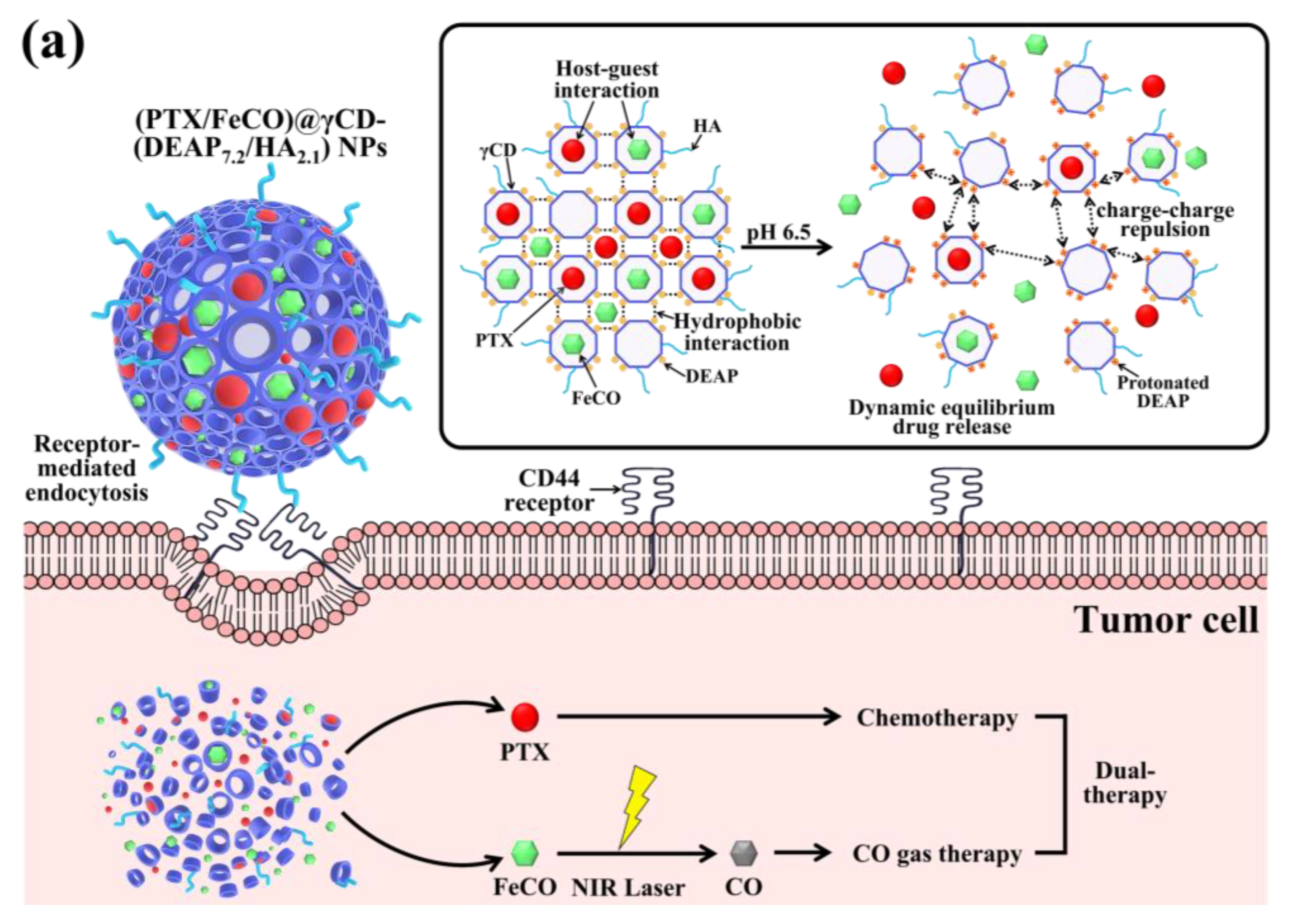 Pharmaceutics 15 01818 g001a