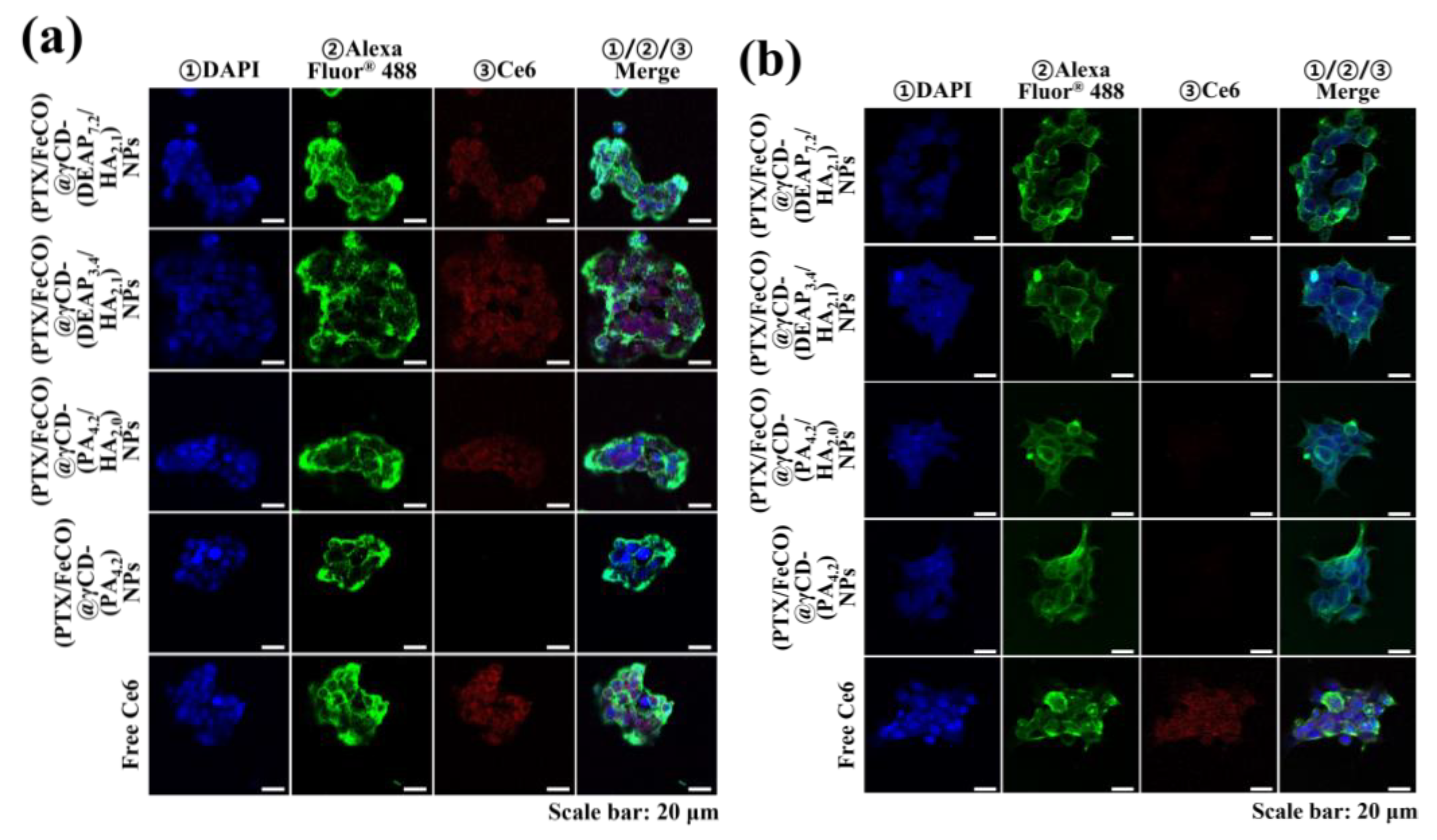 Pharmaceutics 15 01818 g006