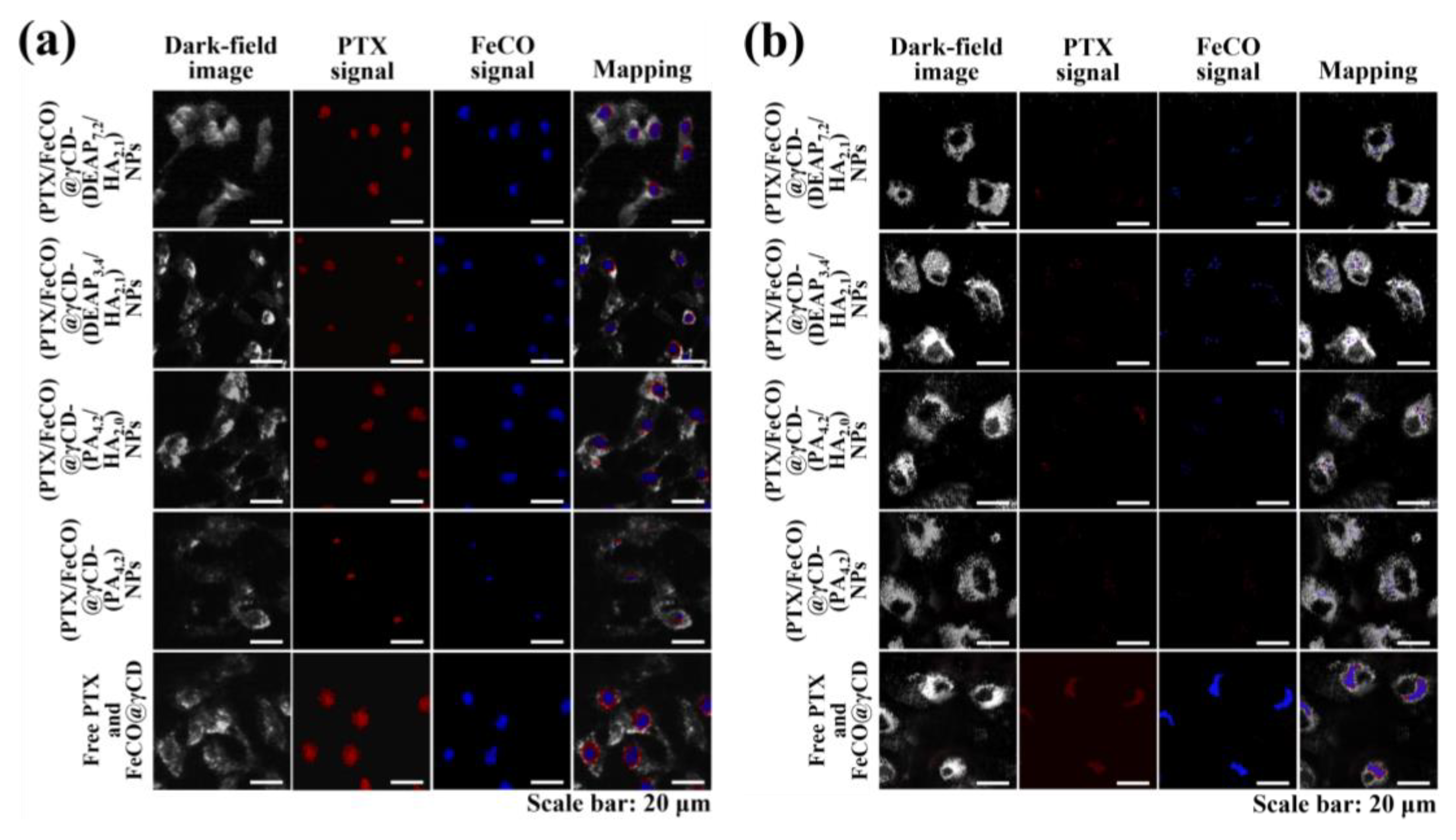 Pharmaceutics 15 01818 g007