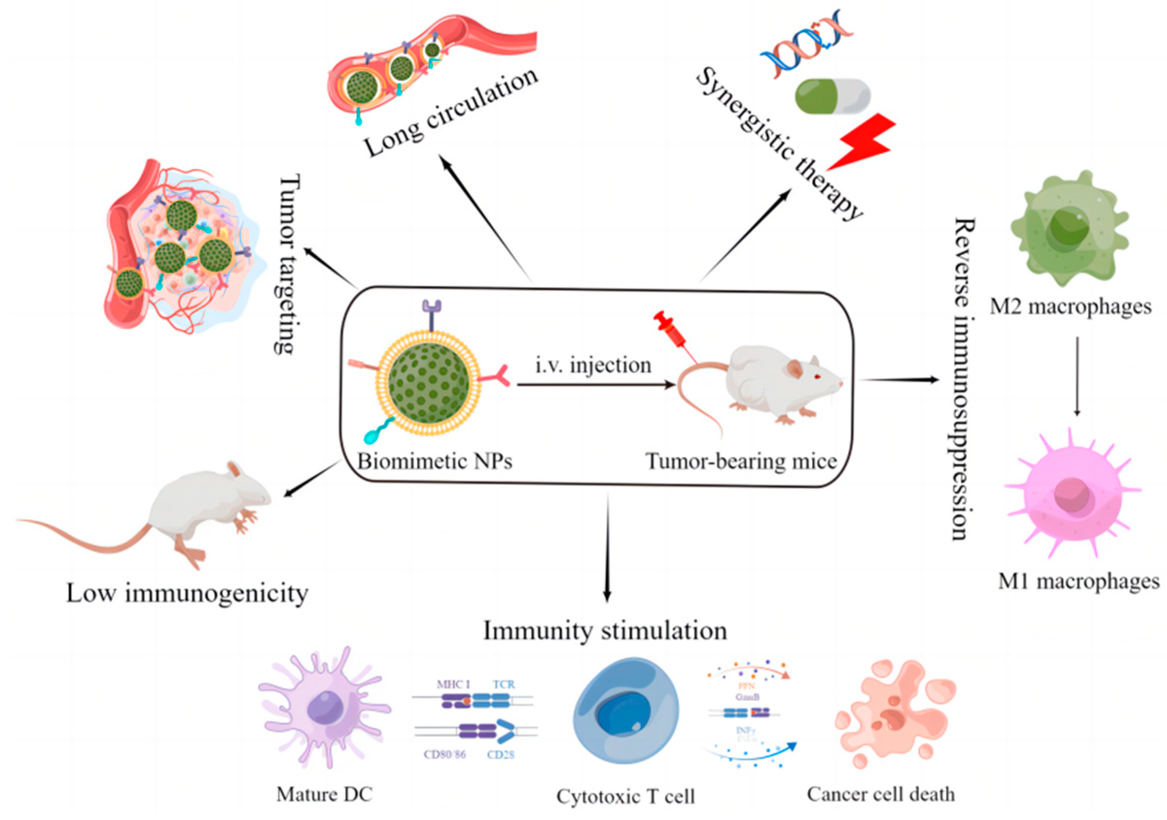 Pharmaceutics 15 01821 g001