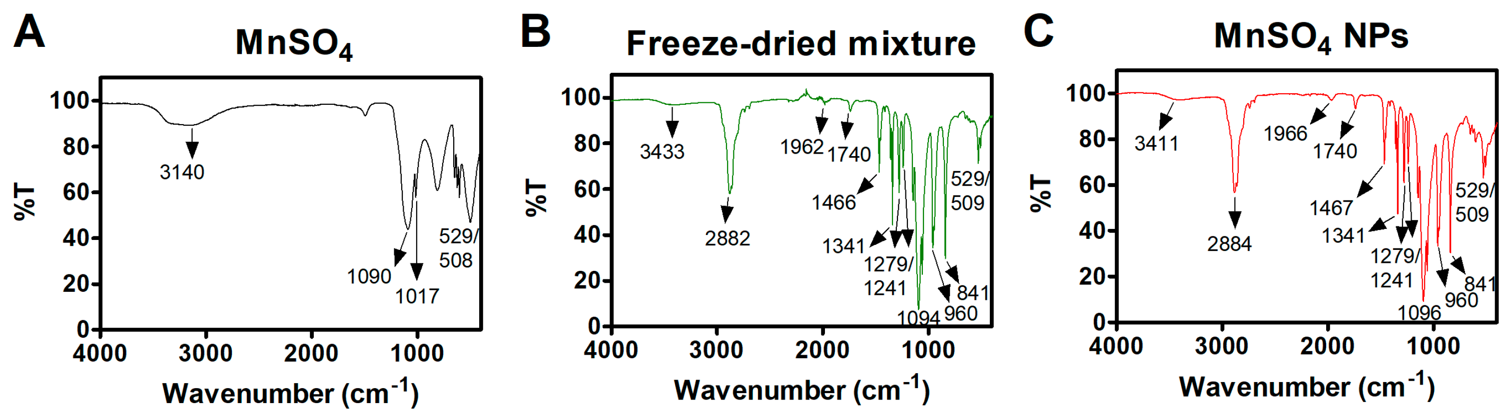 Pharmaceutics 15 01831 g003