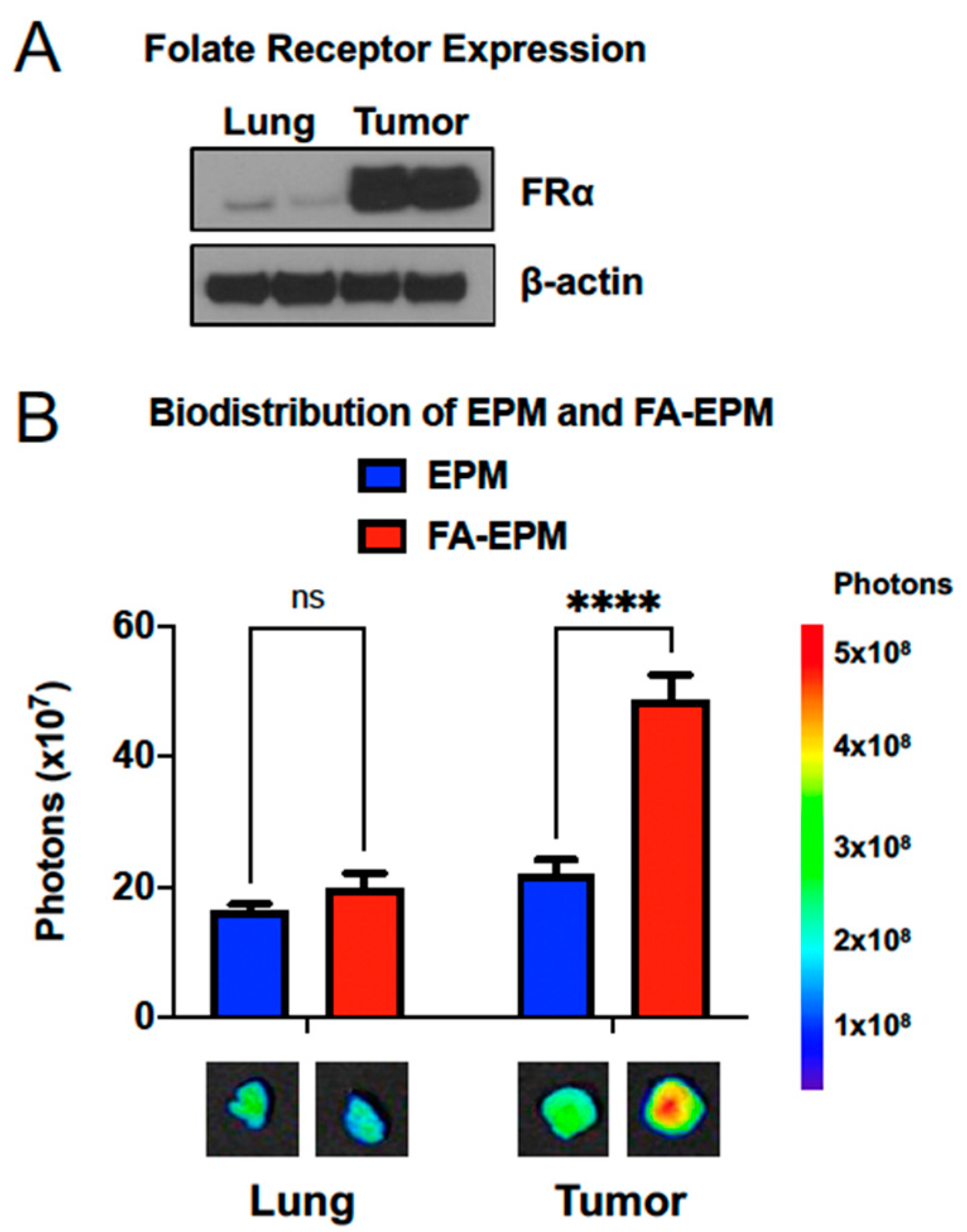 Pharmaceutics 15 01832 g002