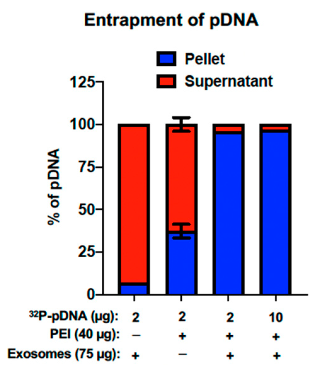 Pharmaceutics 15 01832 g003