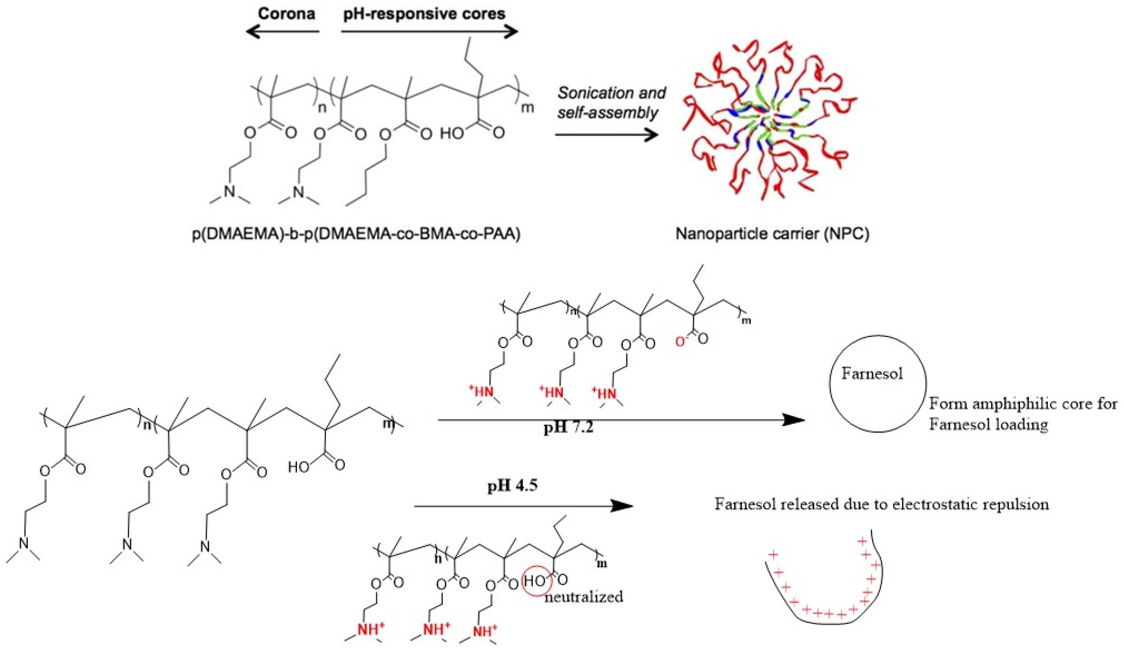Pharmaceutics 15 01837 g003 Pharmaceutics 15 01837 g003