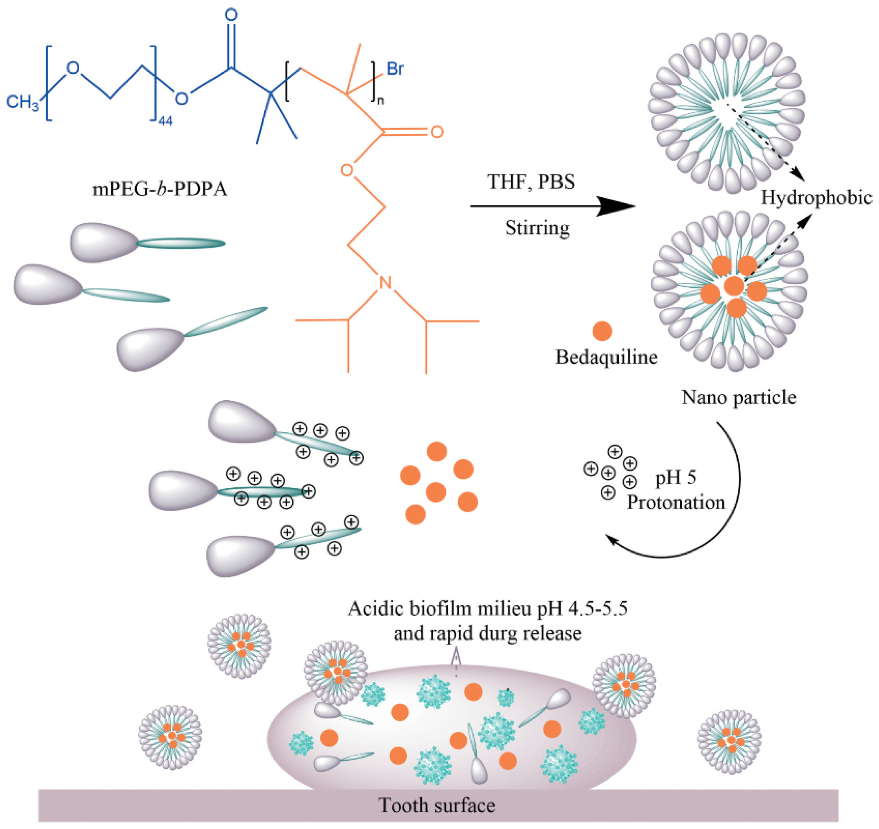 Pharmaceutics 15 01837 g005 Pharmaceutics 15 01837 g005
