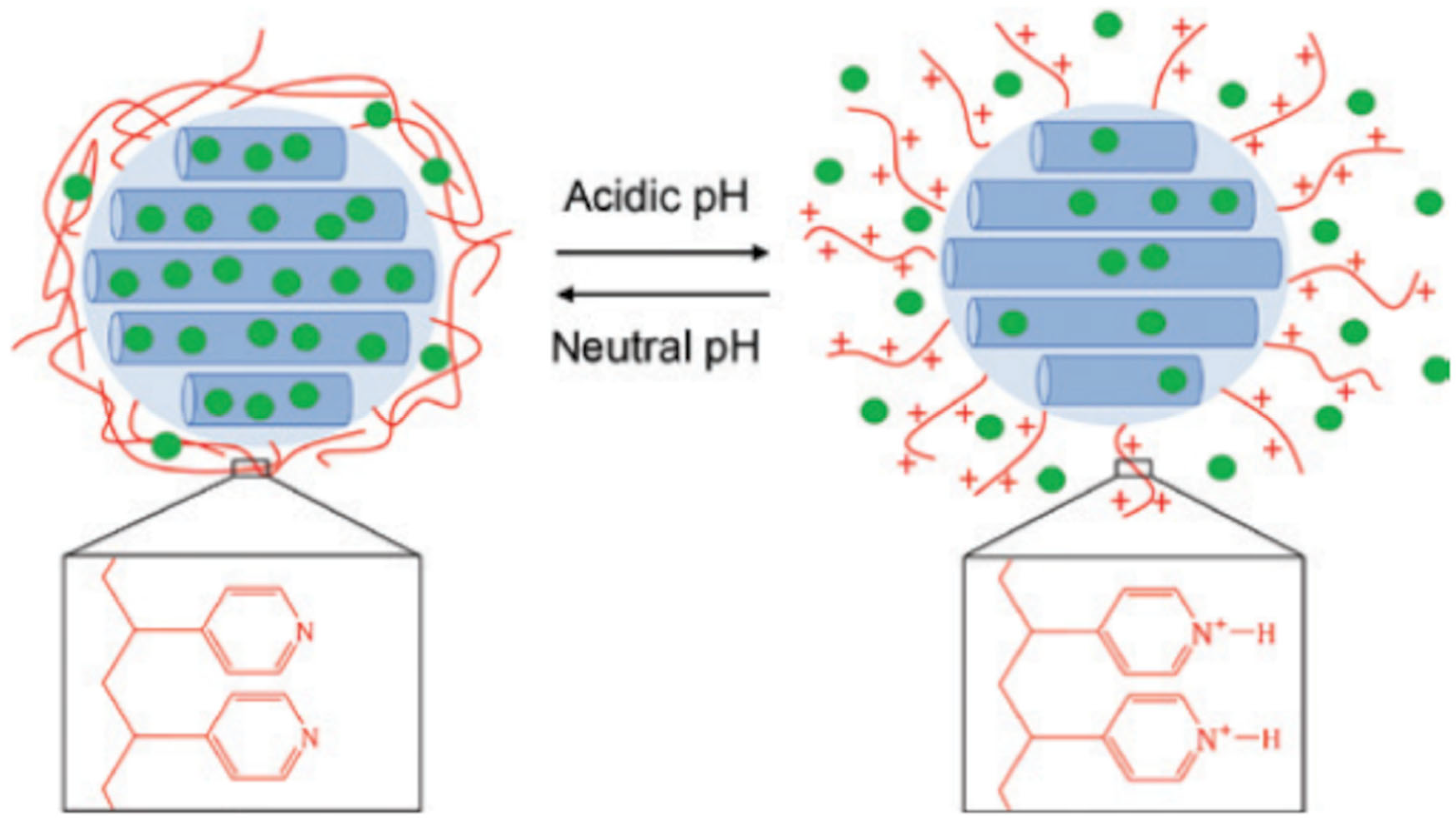 Pharmaceutics 15 01837 g006 Pharmaceutics 15 01837 g006