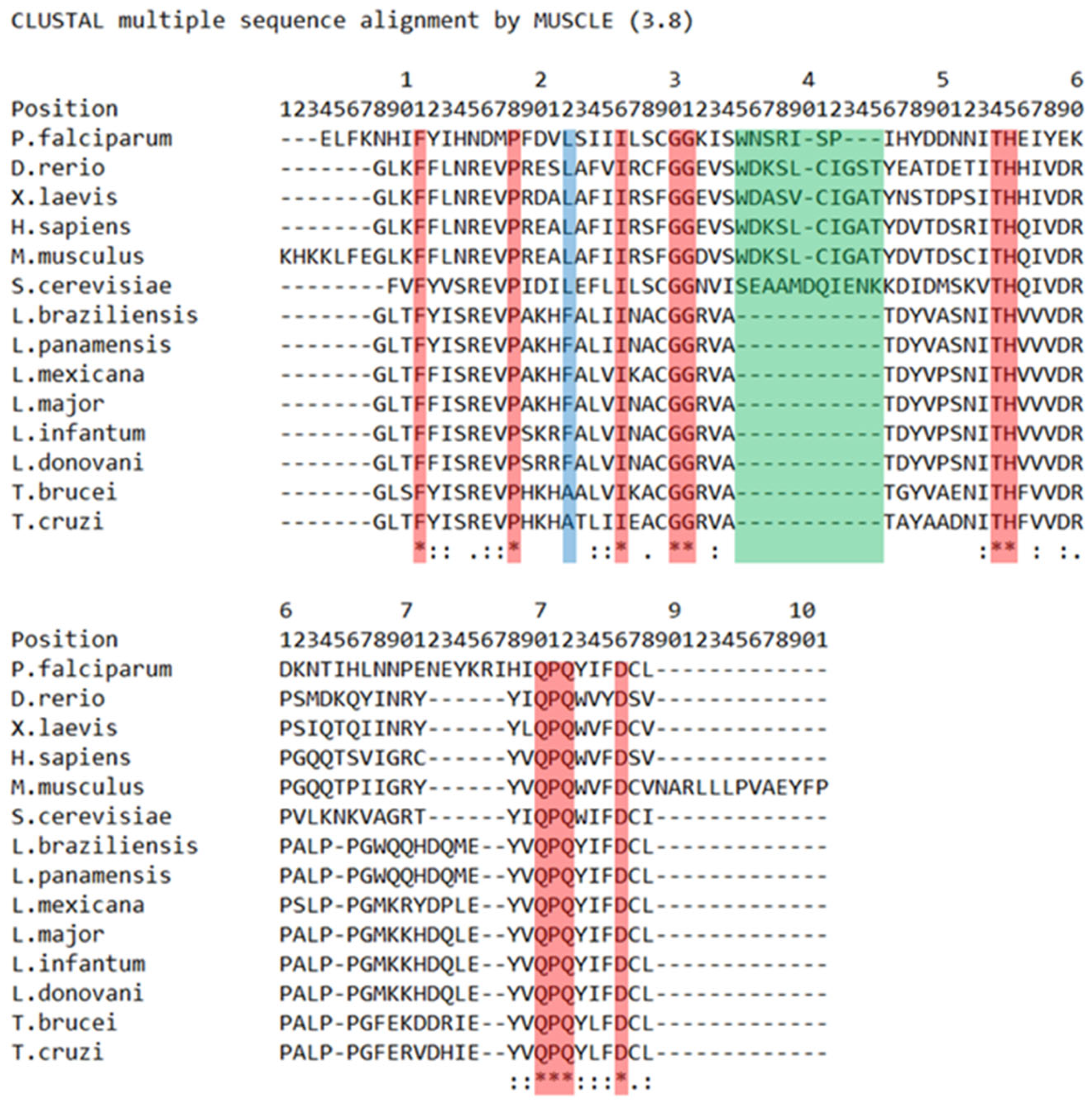 Pharmaceutics 15 01839 g002