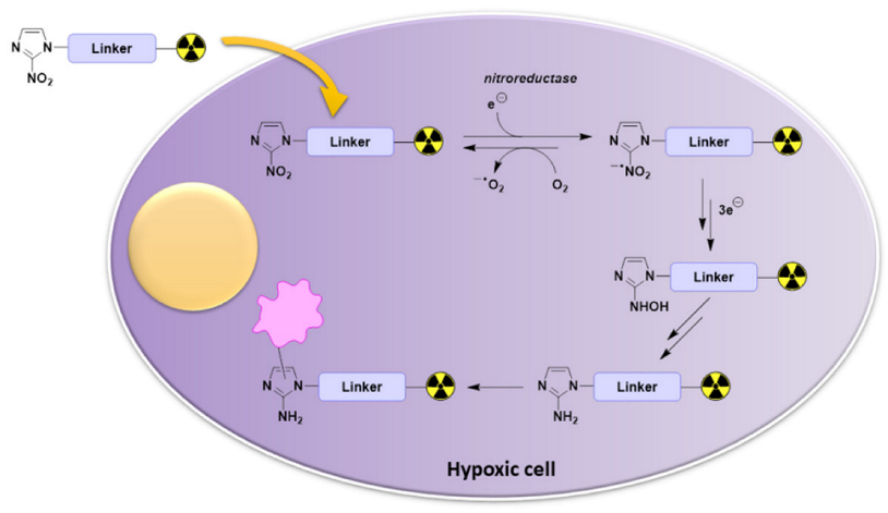 Pharmaceutics 15 01840 g002