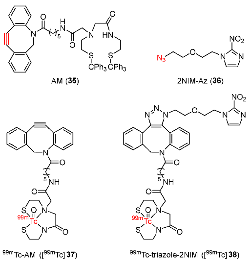 Pharmaceutics 15 01840 g016