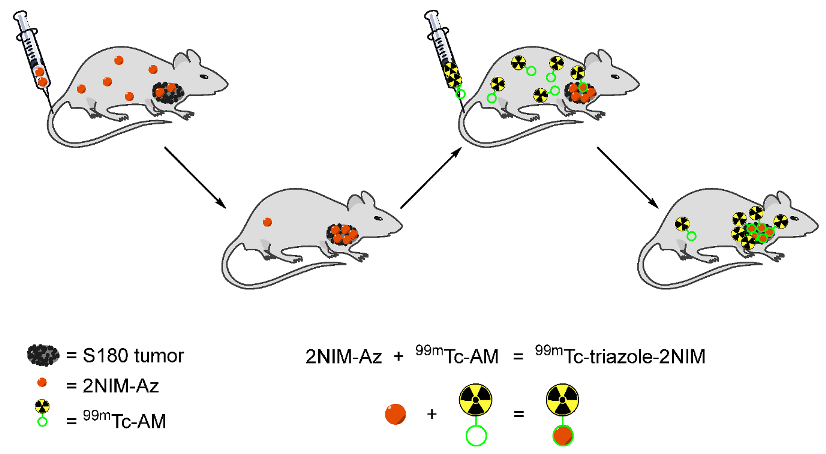 Pharmaceutics 15 01840 g017