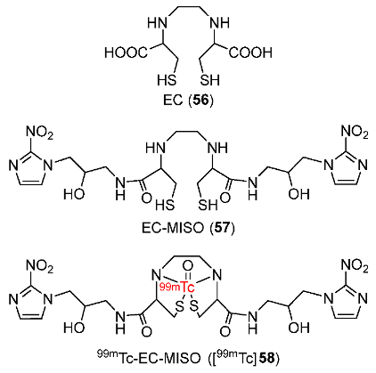 Pharmaceutics 15 01840 g026