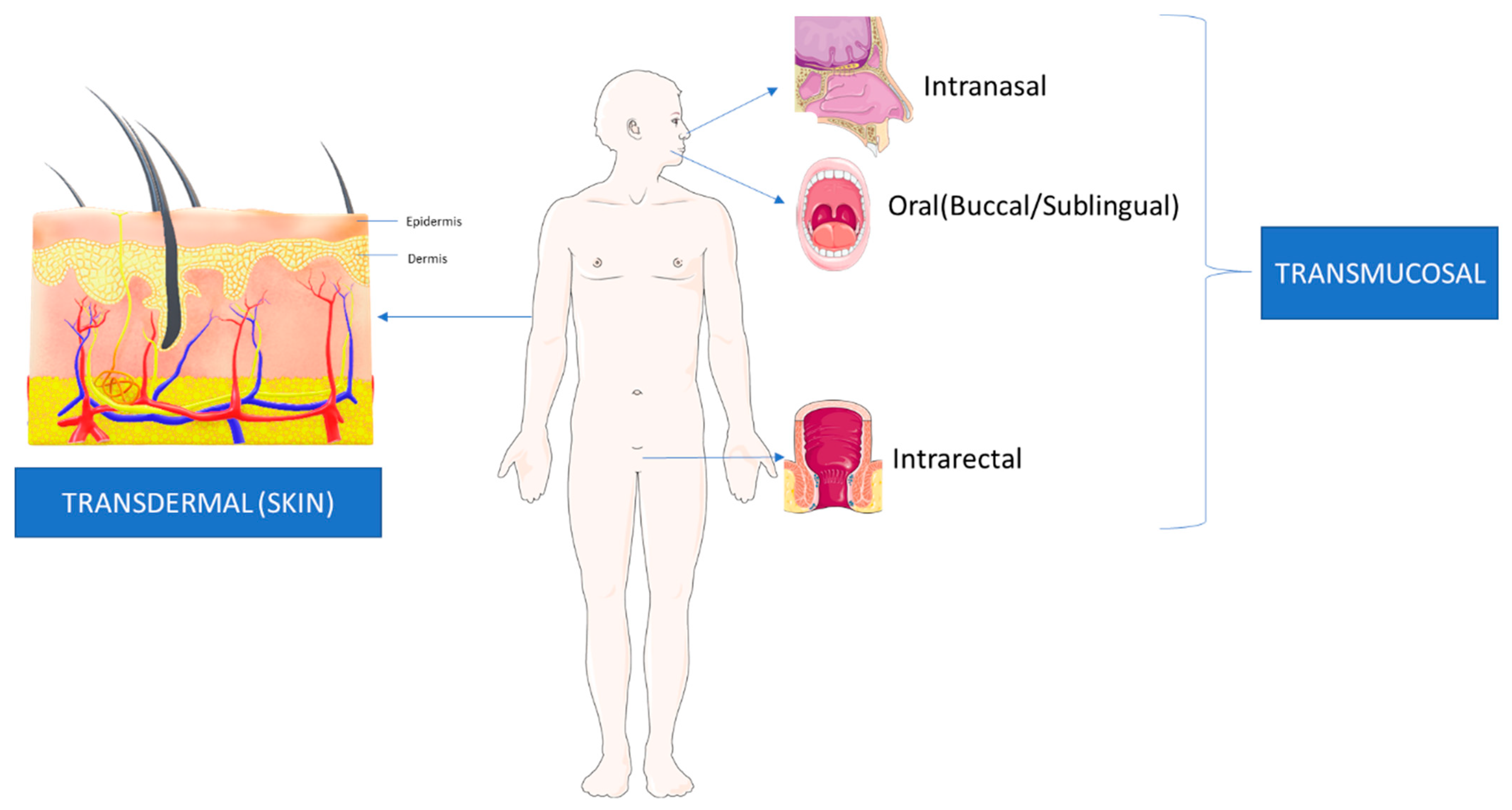 Pharmaceutics 15 01844 g002