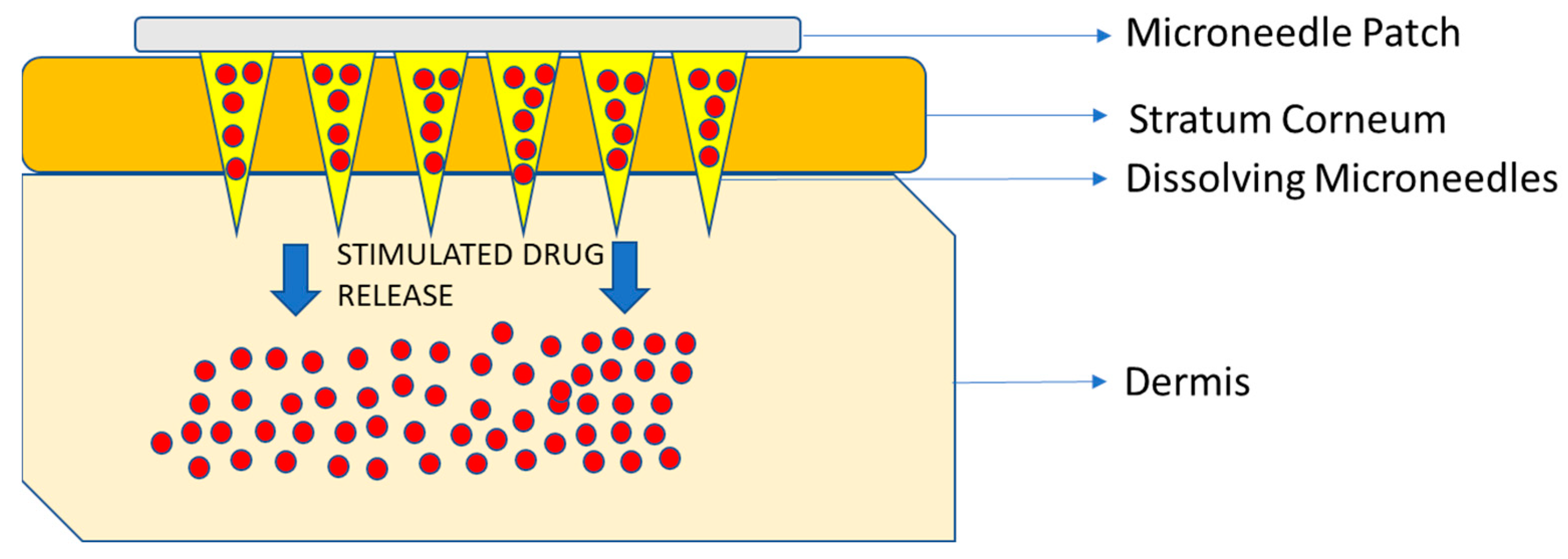 Pharmaceutics 15 01844 g005