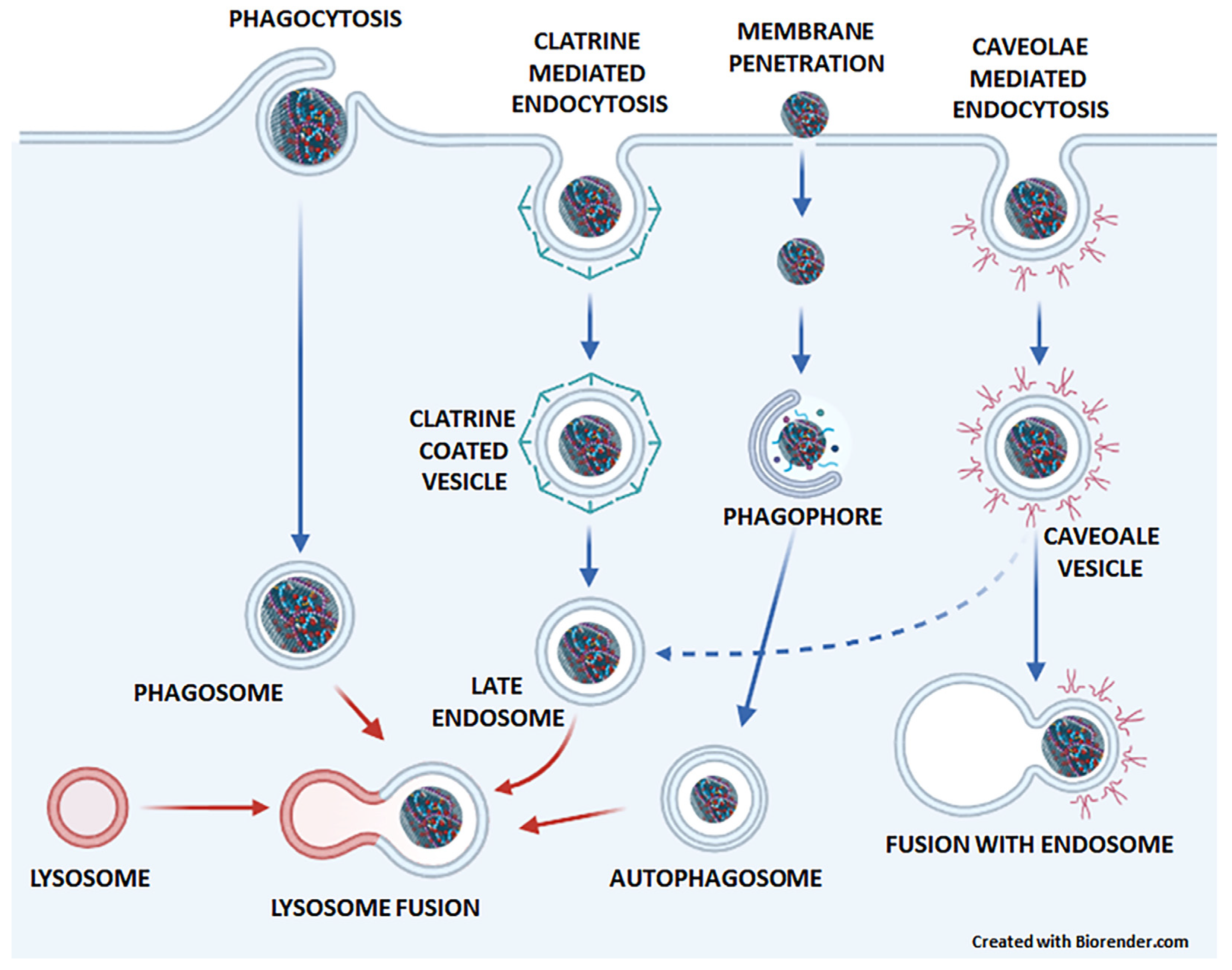 Pharmaceutics 15 01846 g002