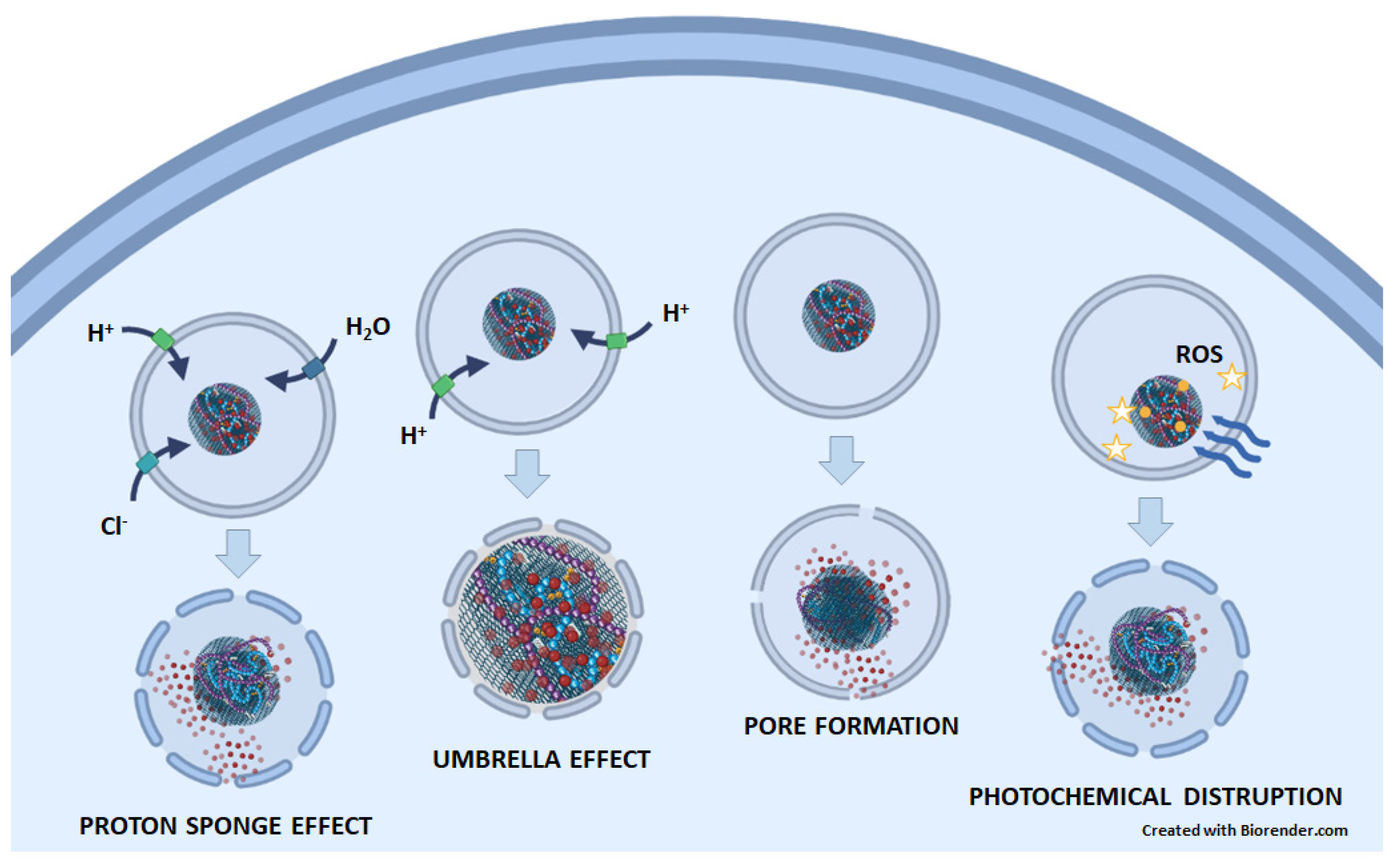 Pharmaceutics 15 01846 g003