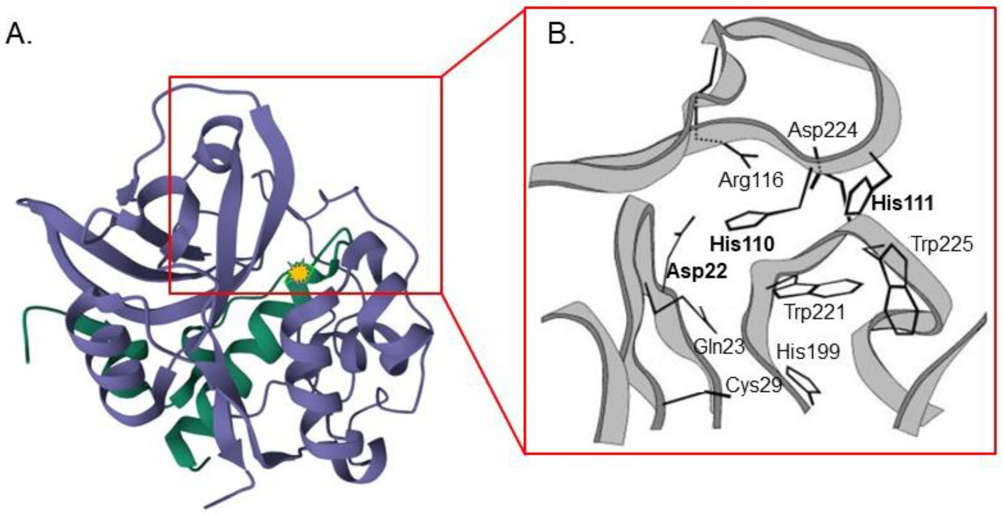 Pharmaceutics 15 01848 g002