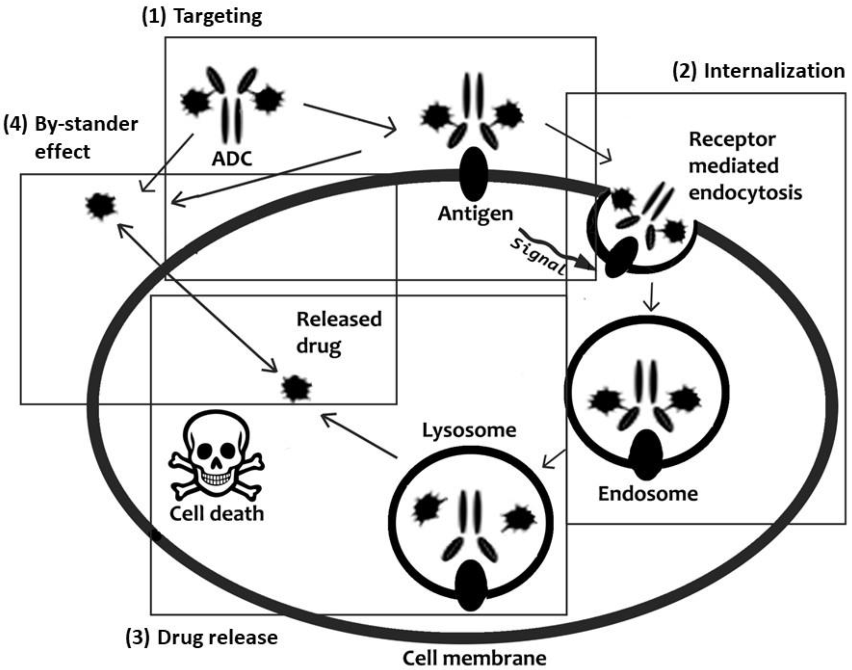 Pharmaceutics 15 01848 g003