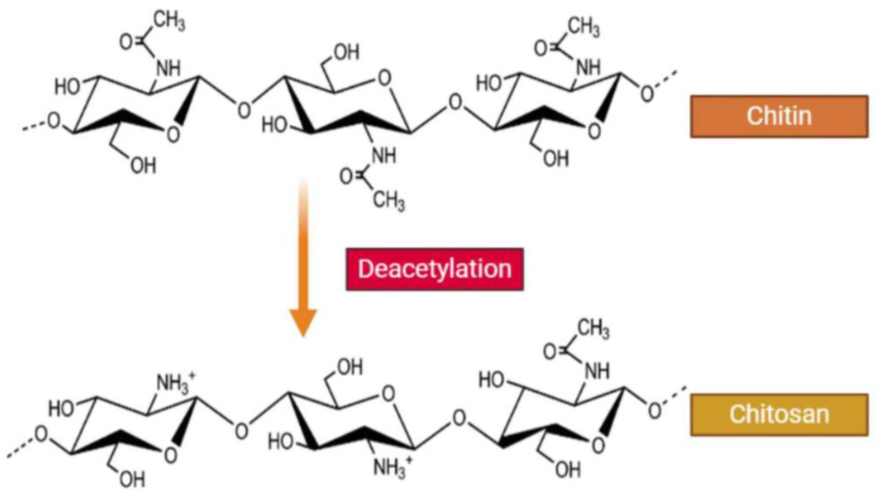 Pharmaceutics 15 01849 g001 Pharmaceutics 15 01849 g001
