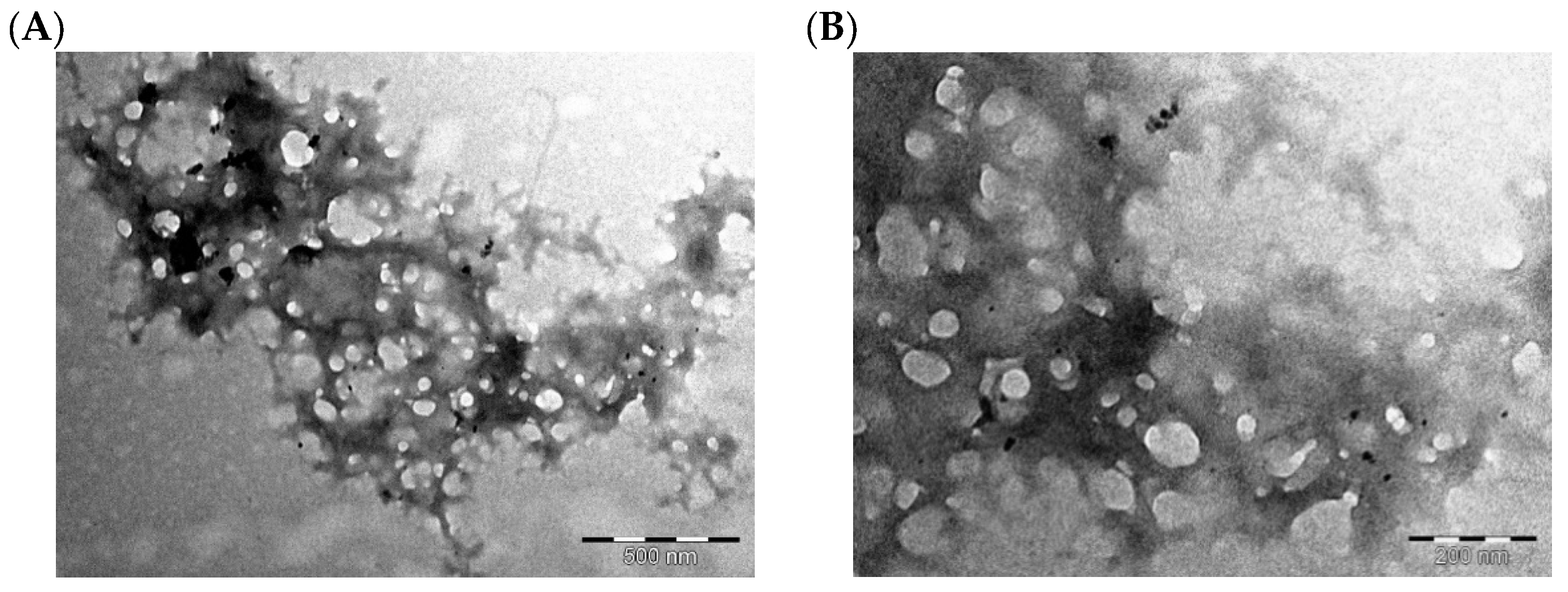 Pharmaceutics 15 01855 g005