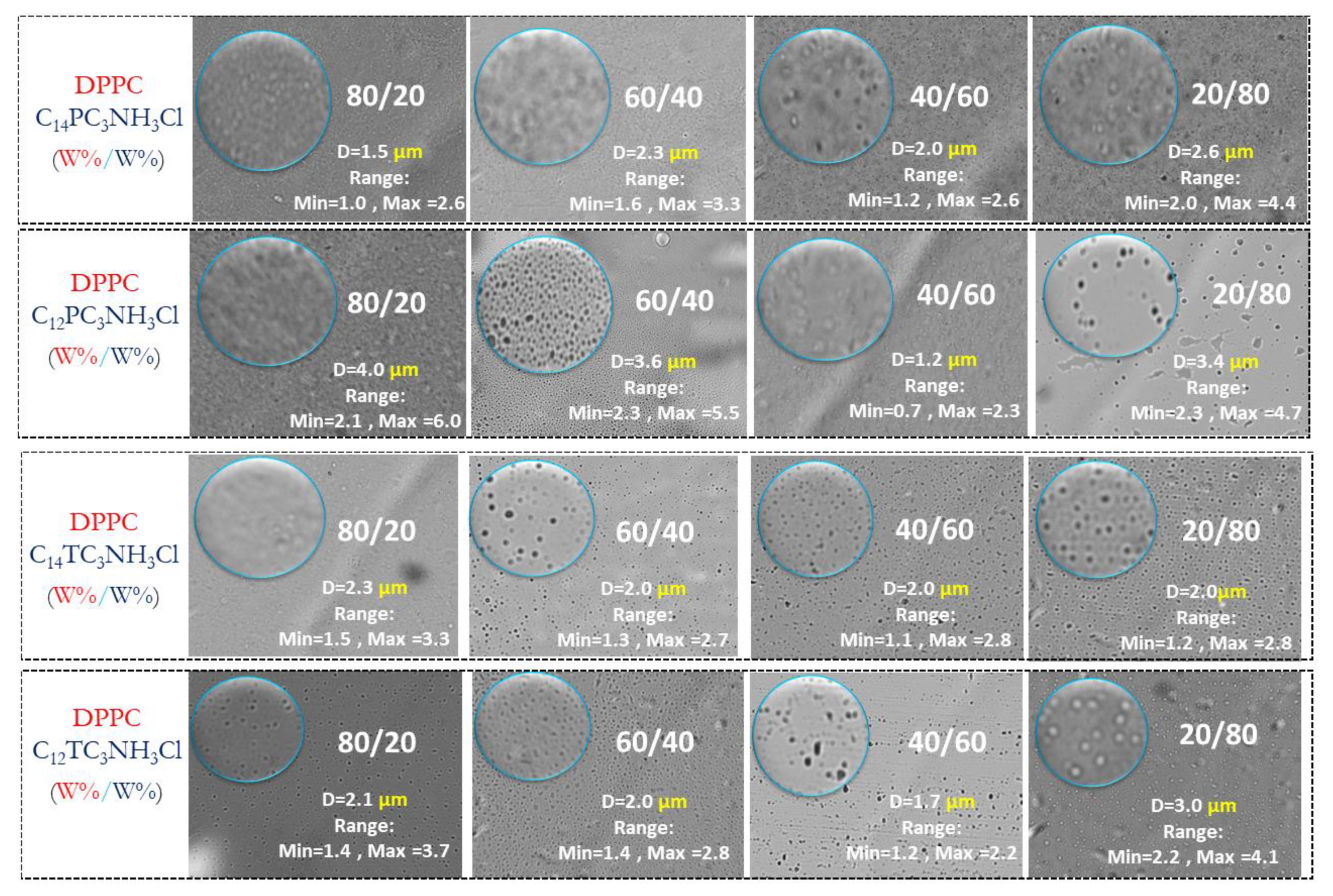 Pharmaceutics 15 01856 g006
