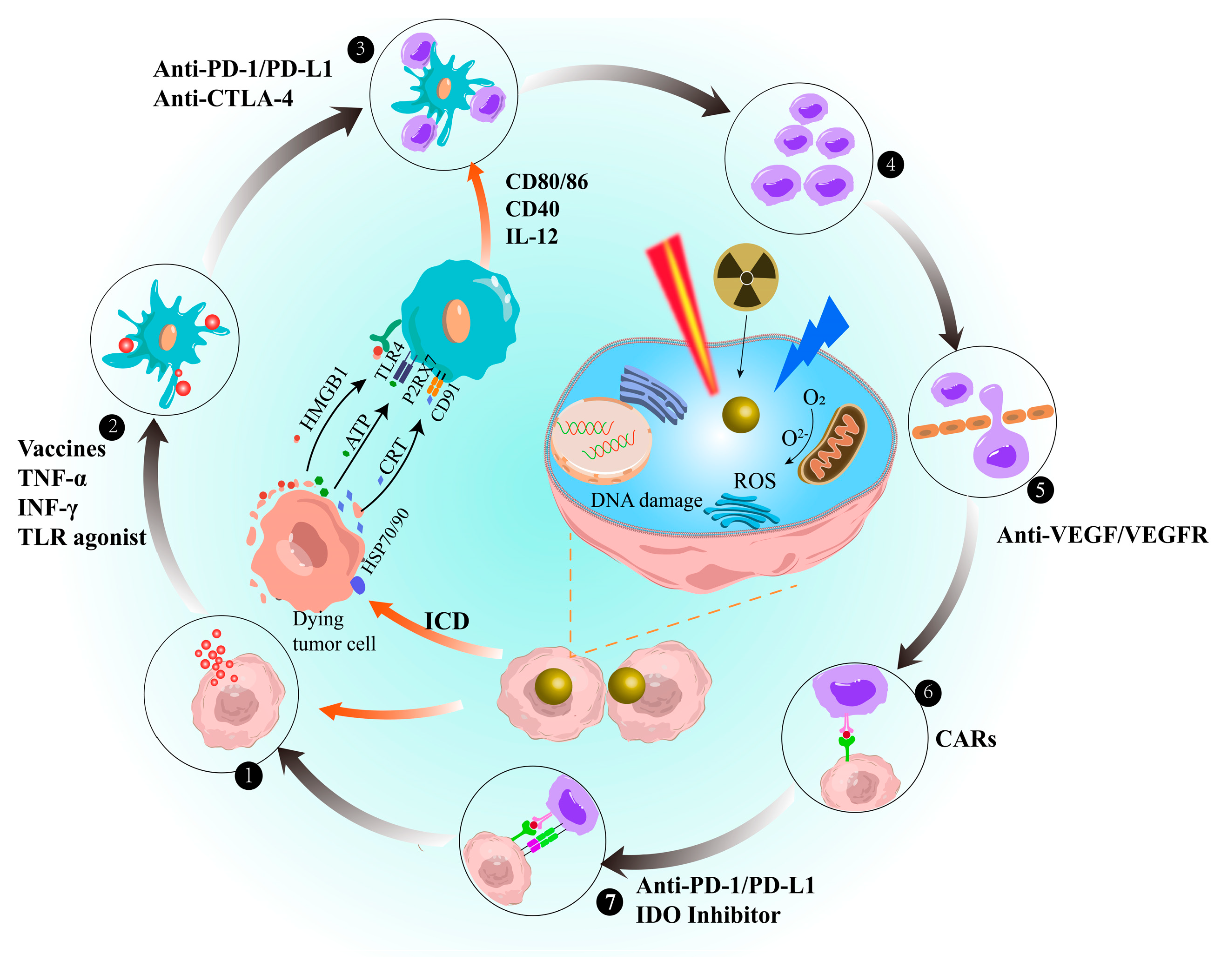 Pharmaceutics 15 01868 g004
