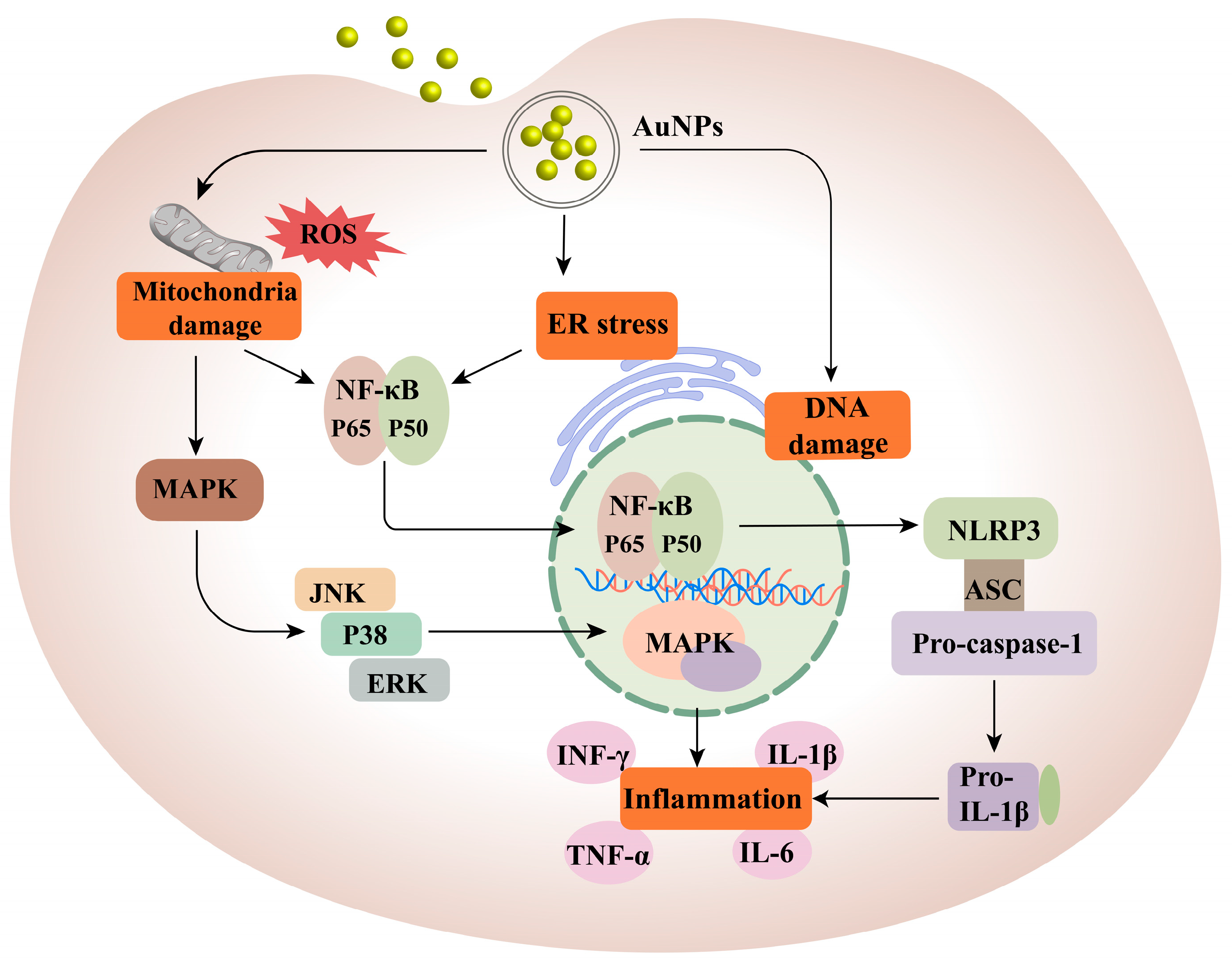 Pharmaceutics 15 01868 g005