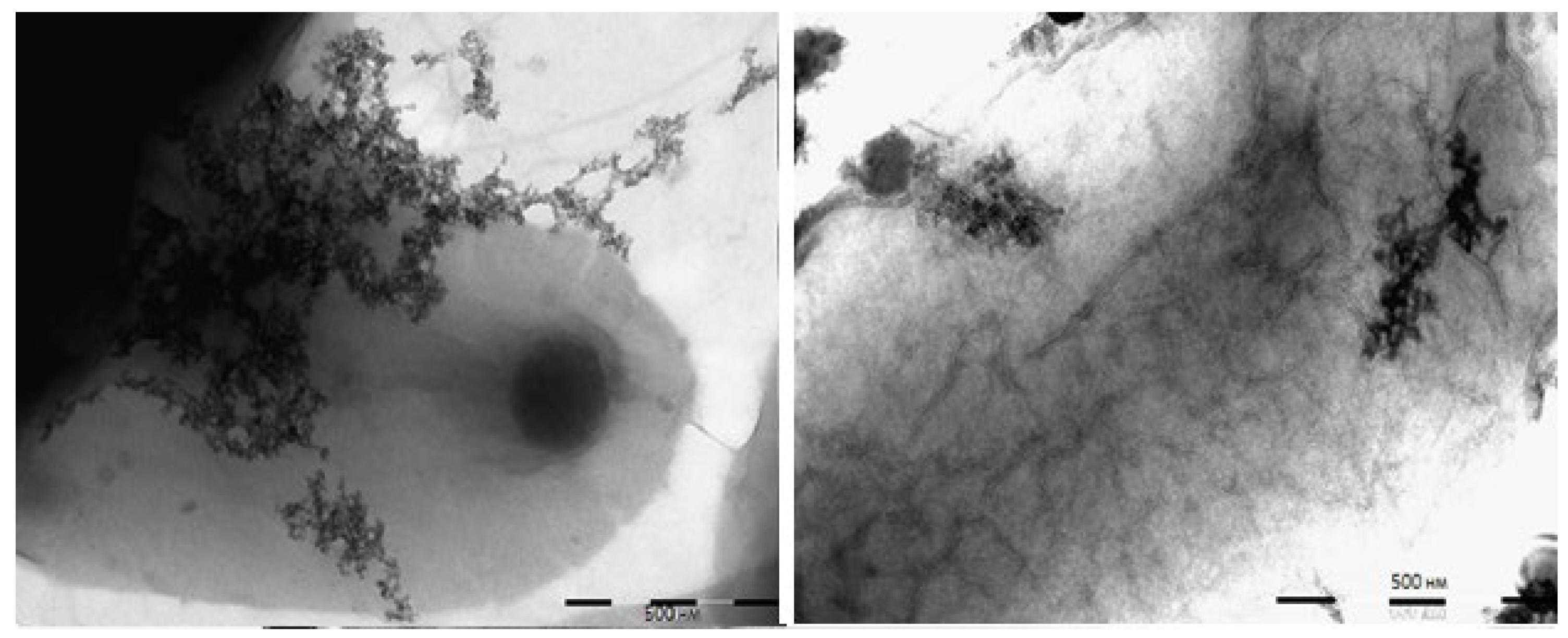 Pharmaceutics 15 01871 g008