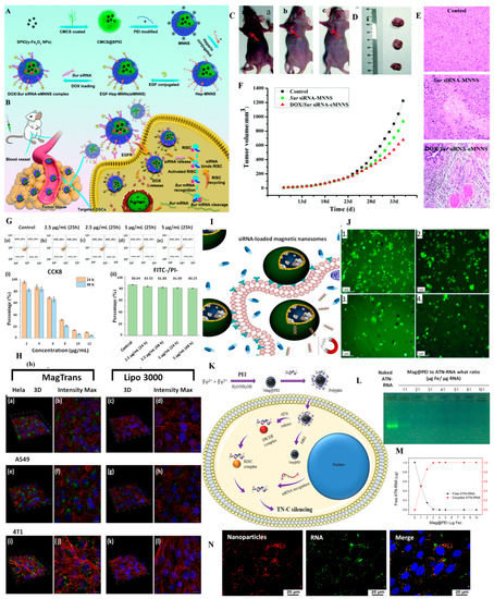 Pharmaceutics 15 01872 g005