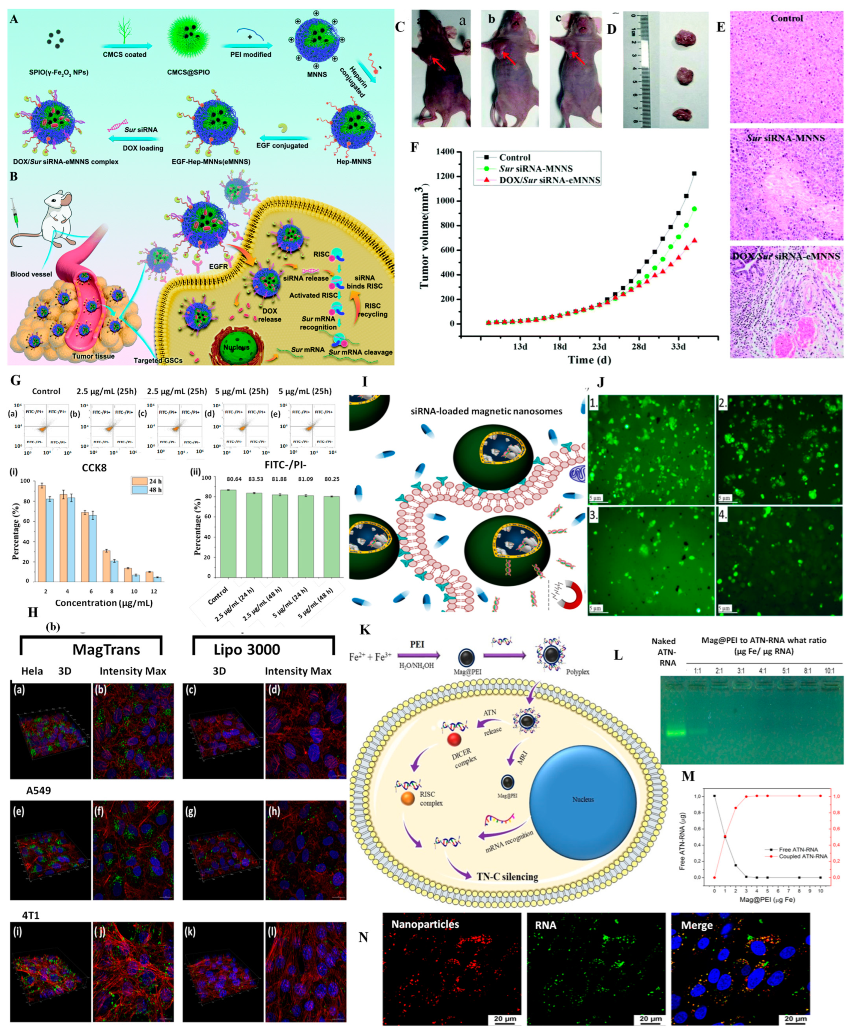 Pharmaceutics 15 01872 g005 Pharmaceutics 15 01872 g005