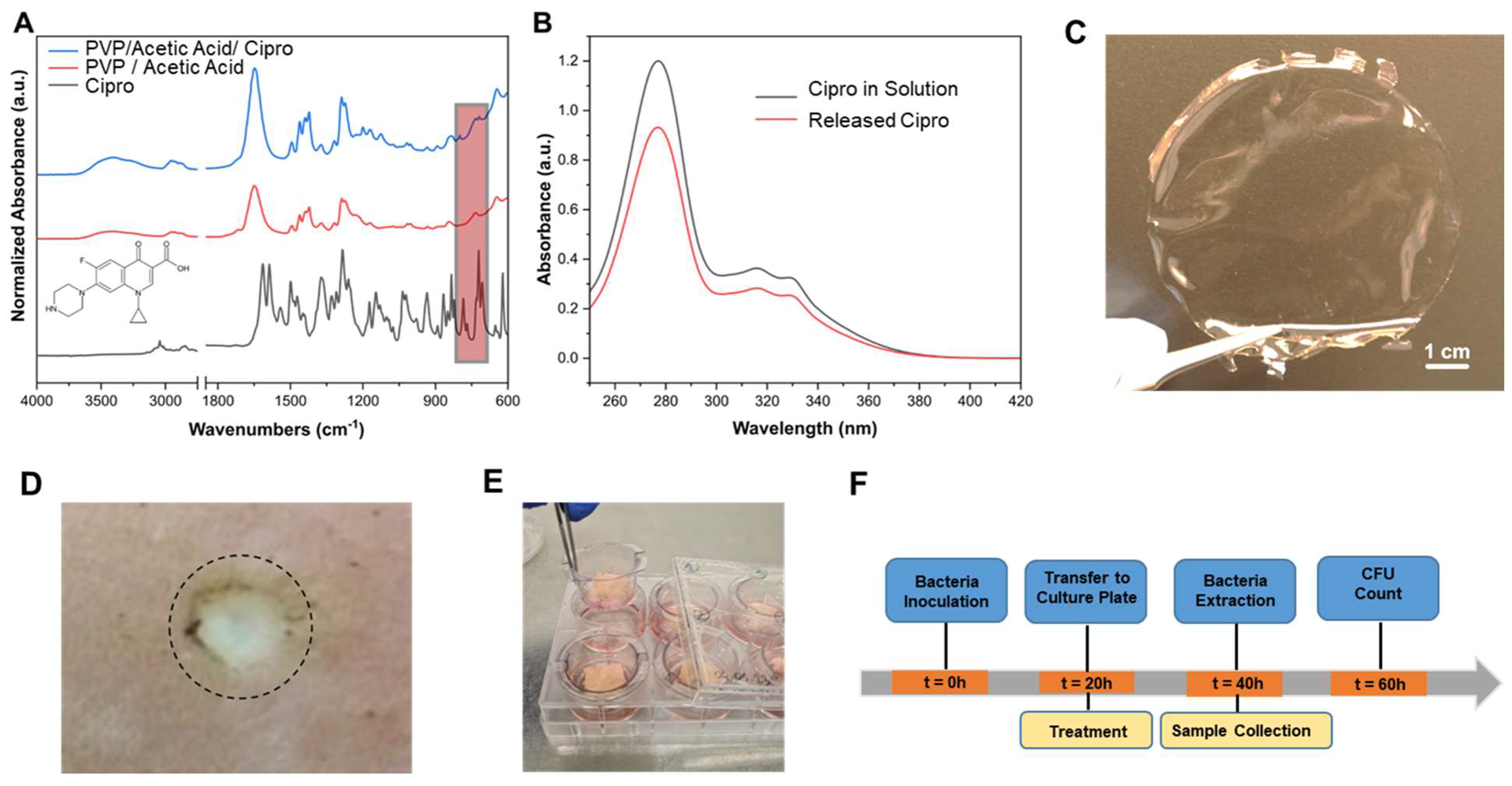 Pharmaceutics 15 01876 g001