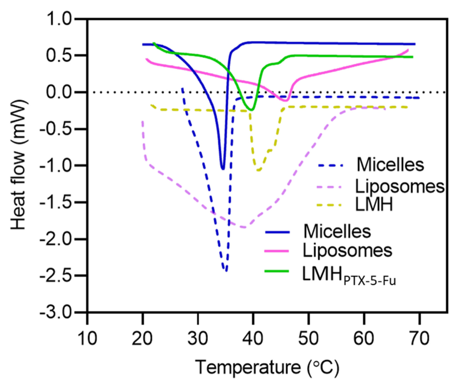 Pharmaceutics 15 01886 g002