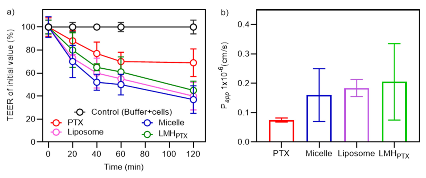 Pharmaceutics 15 01886 g005
