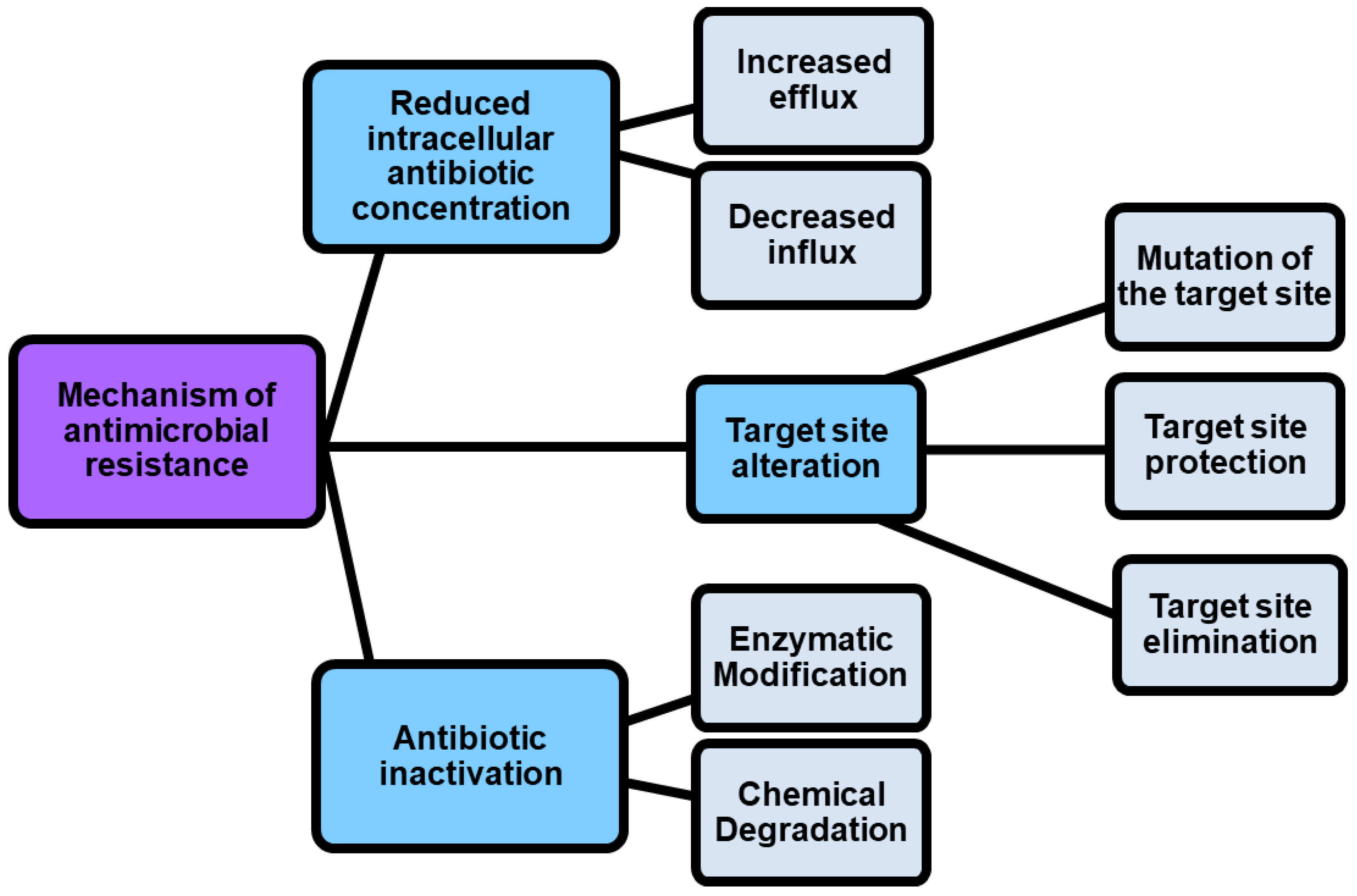 Pharmaceutics 15 01889 g001