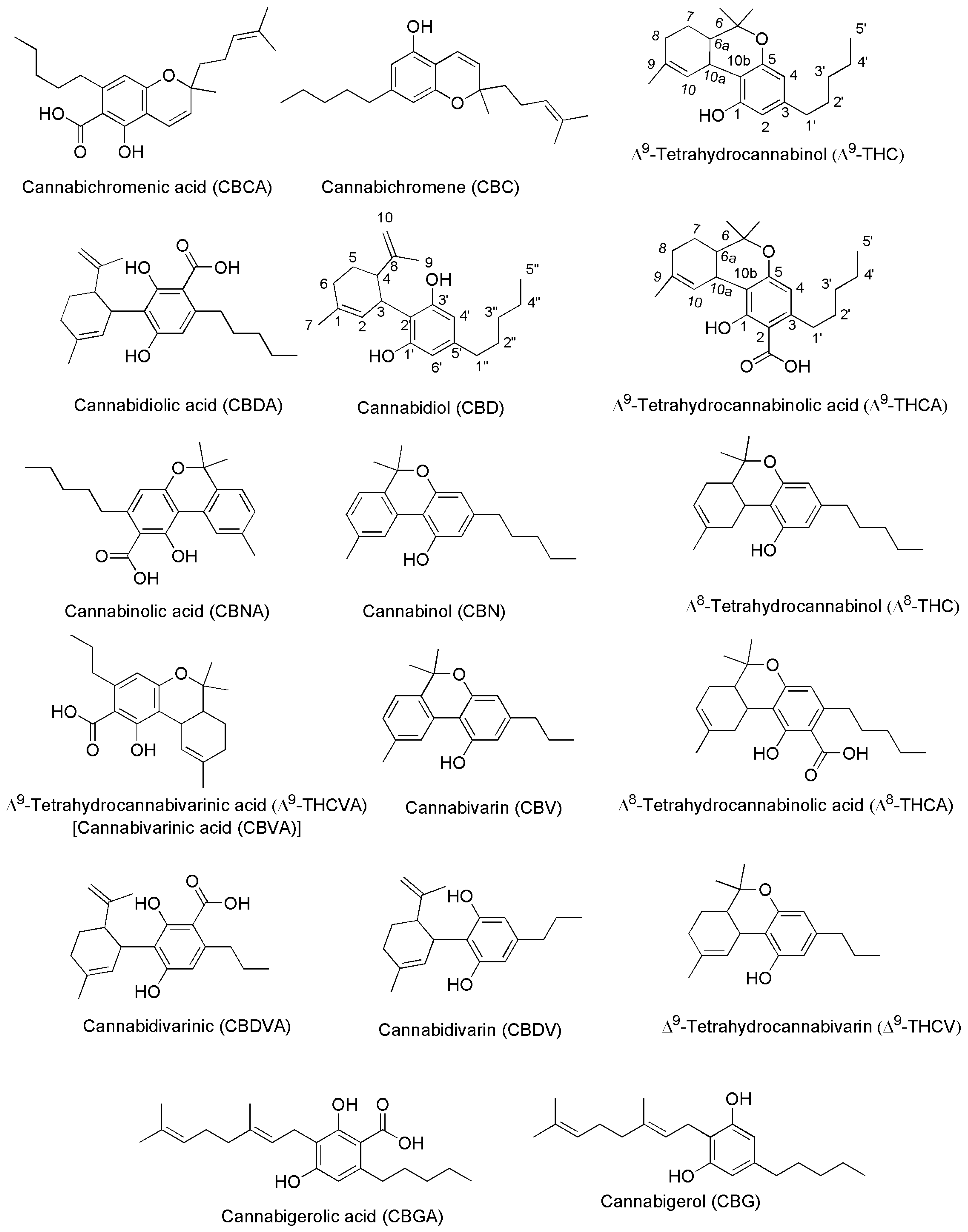 Pharmaceutics 15 01889 g002
