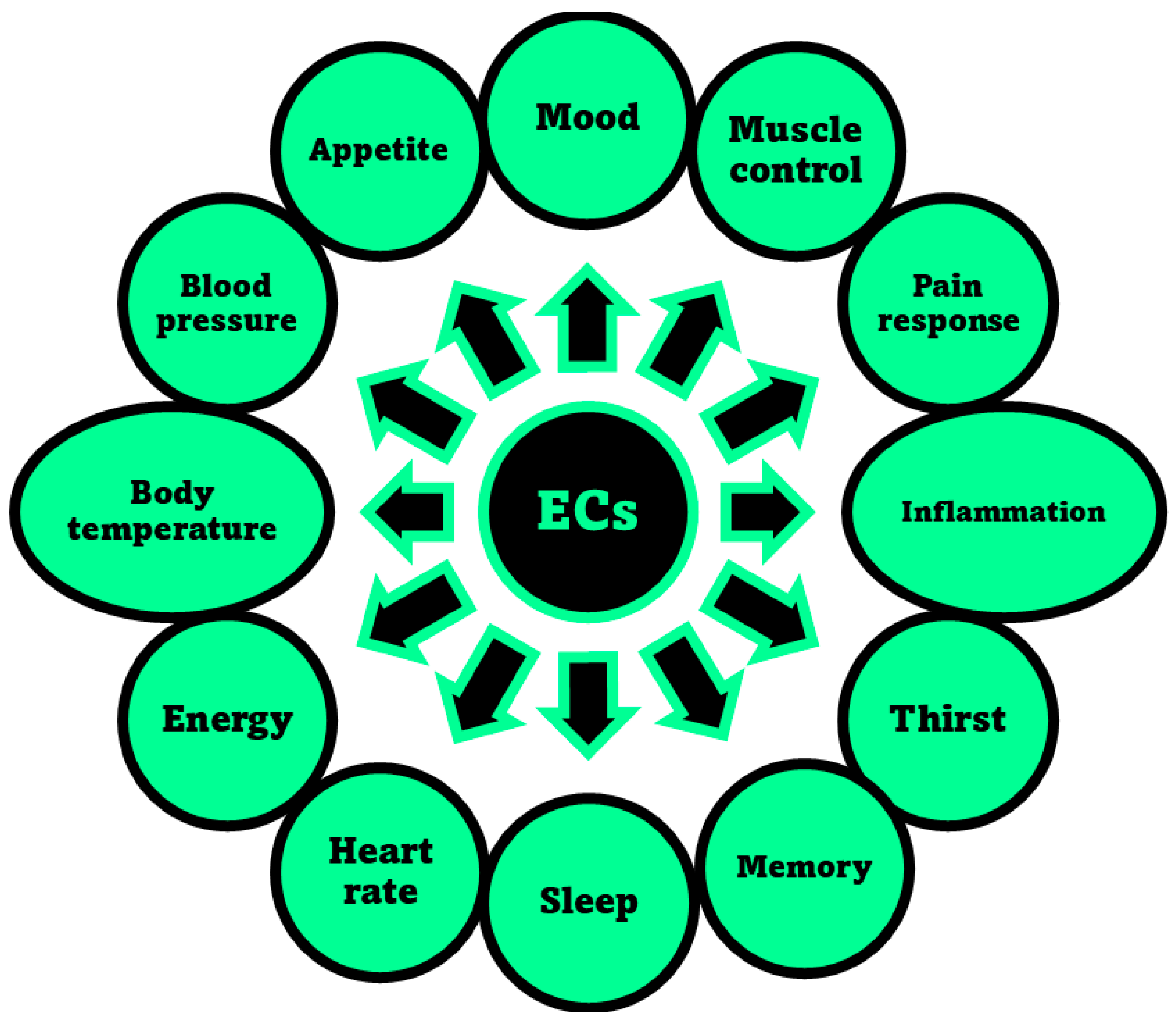 Pharmaceutics 15 01889 g004