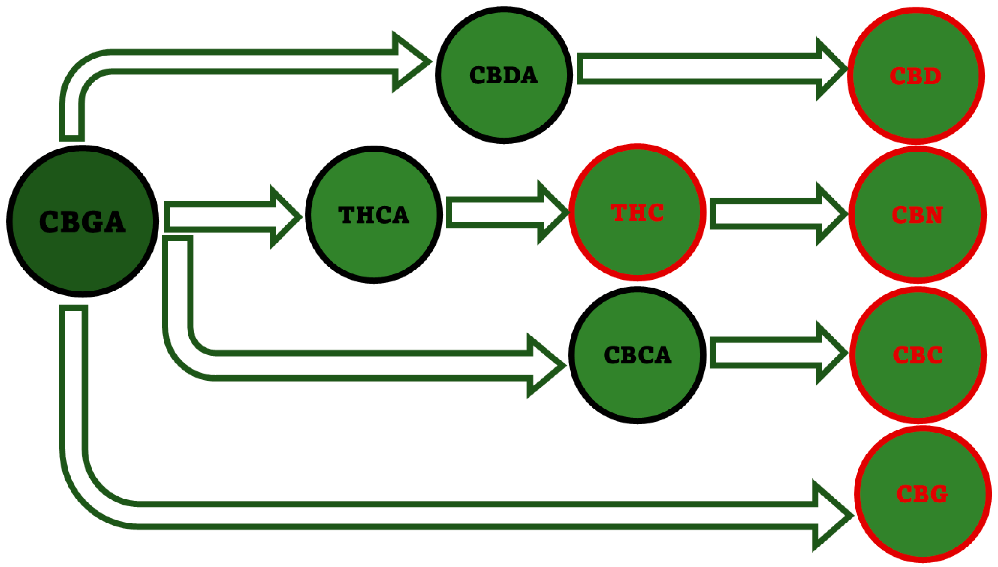 Pharmaceutics 15 01889 g008