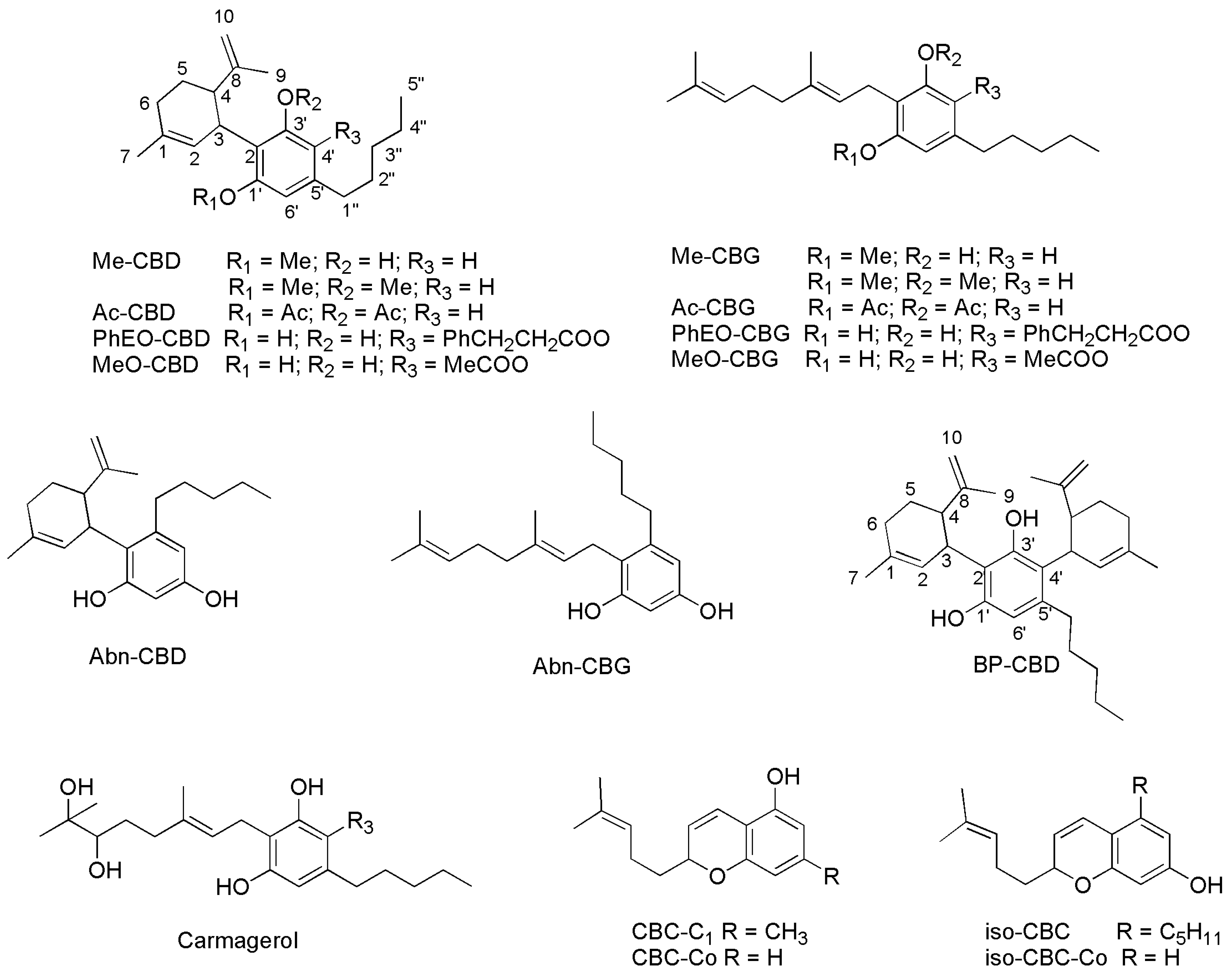 Pharmaceutics 15 01889 g011