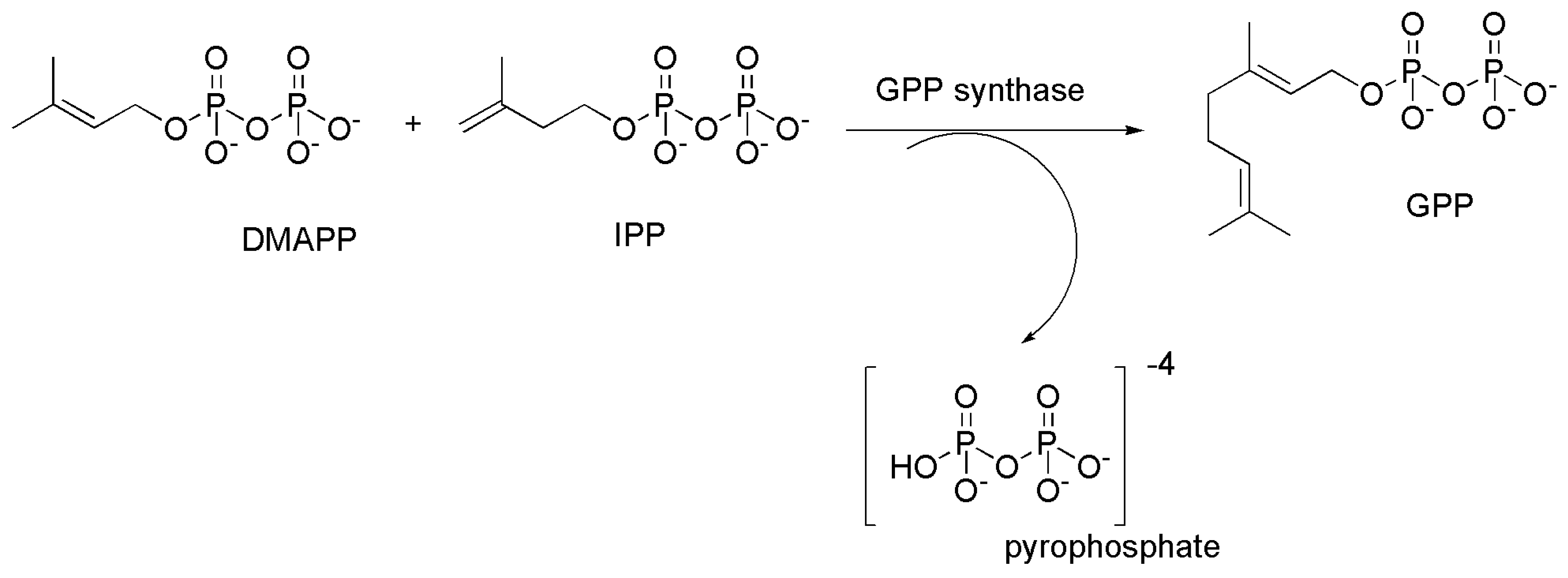 Pharmaceutics 15 01889 sch001