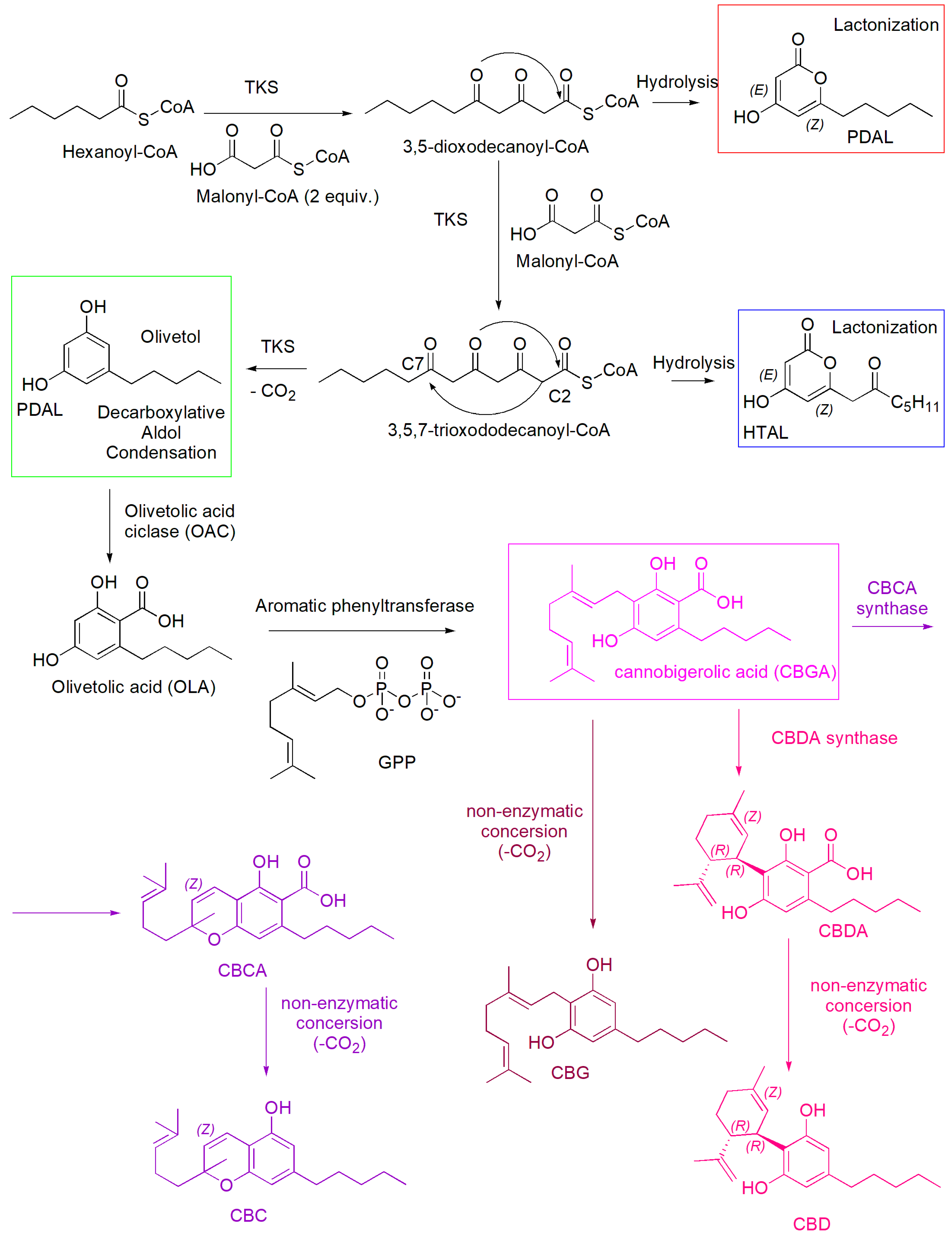 Pharmaceutics 15 01889 sch002