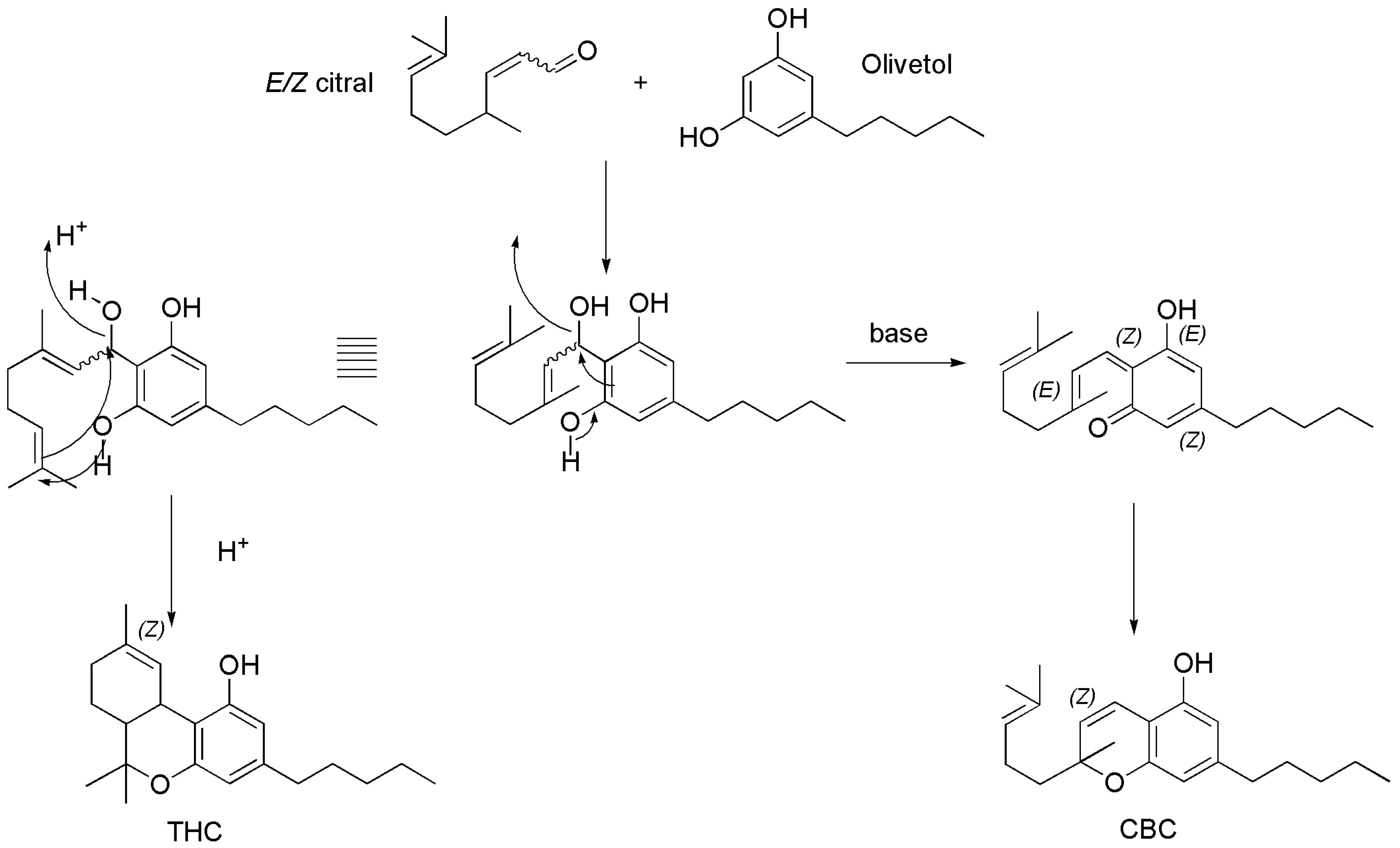 Pharmaceutics 15 01889 sch004