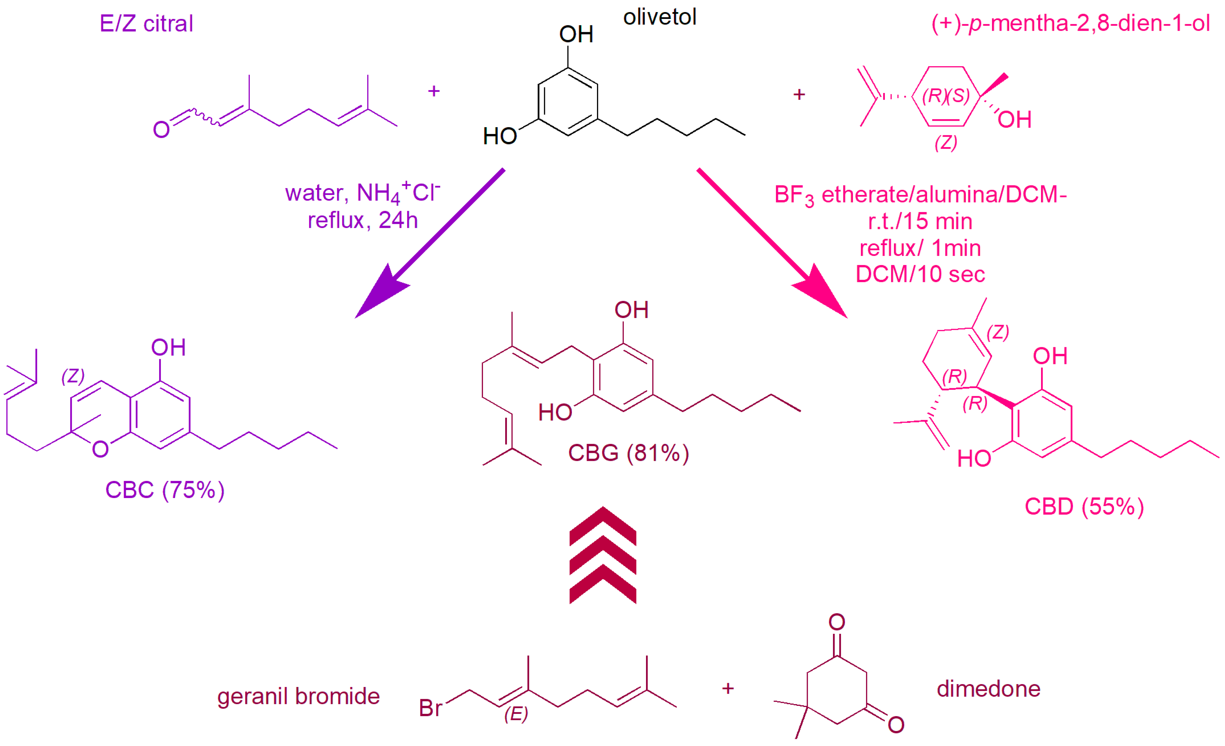 Pharmaceutics 15 01889 sch026